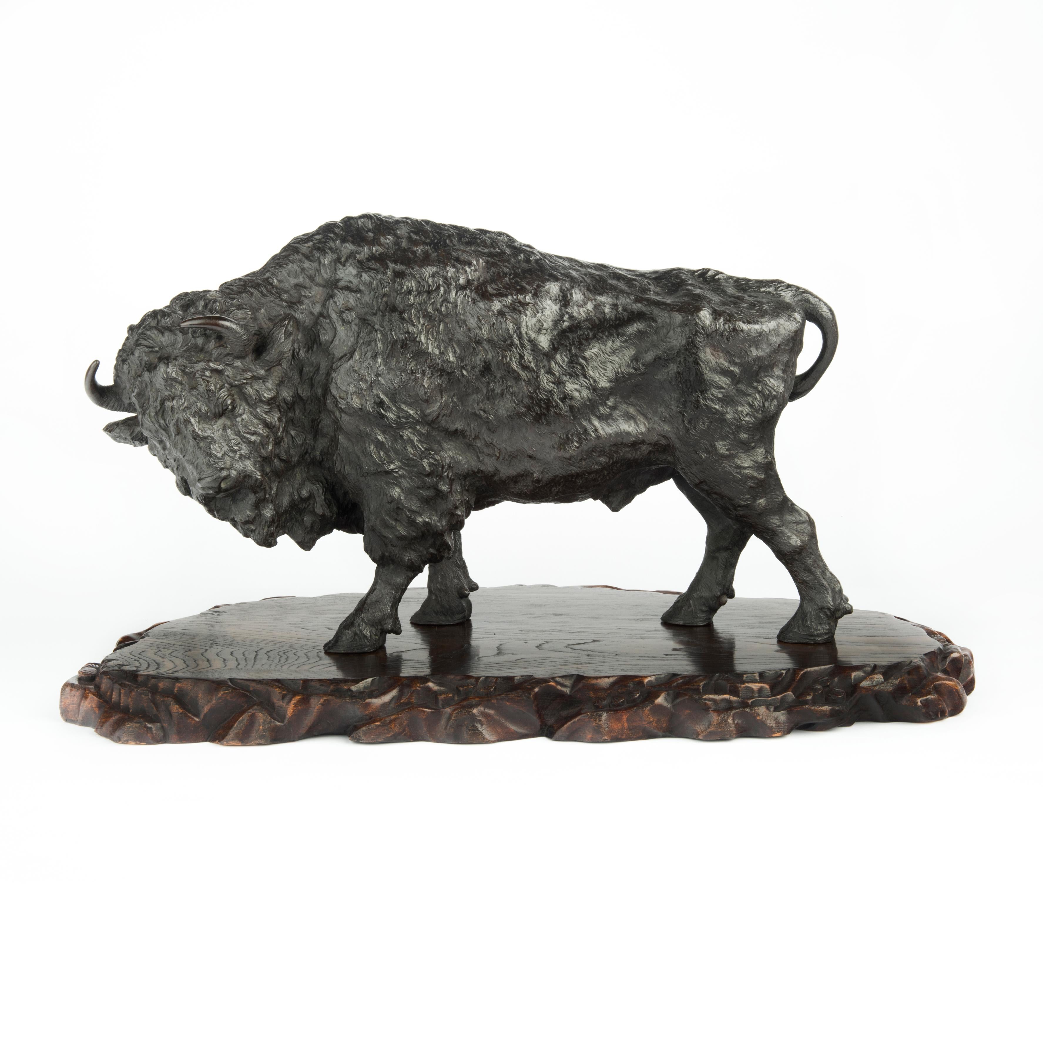 A large and impressive Meiji period bronze bison by Sano Takachika for the Kakuha Company, the animal powerfully modelled with his head low and turned slightly to the left and with a naturalistic shaggy pelt, on a shaped rootwood stand, stamped Sano