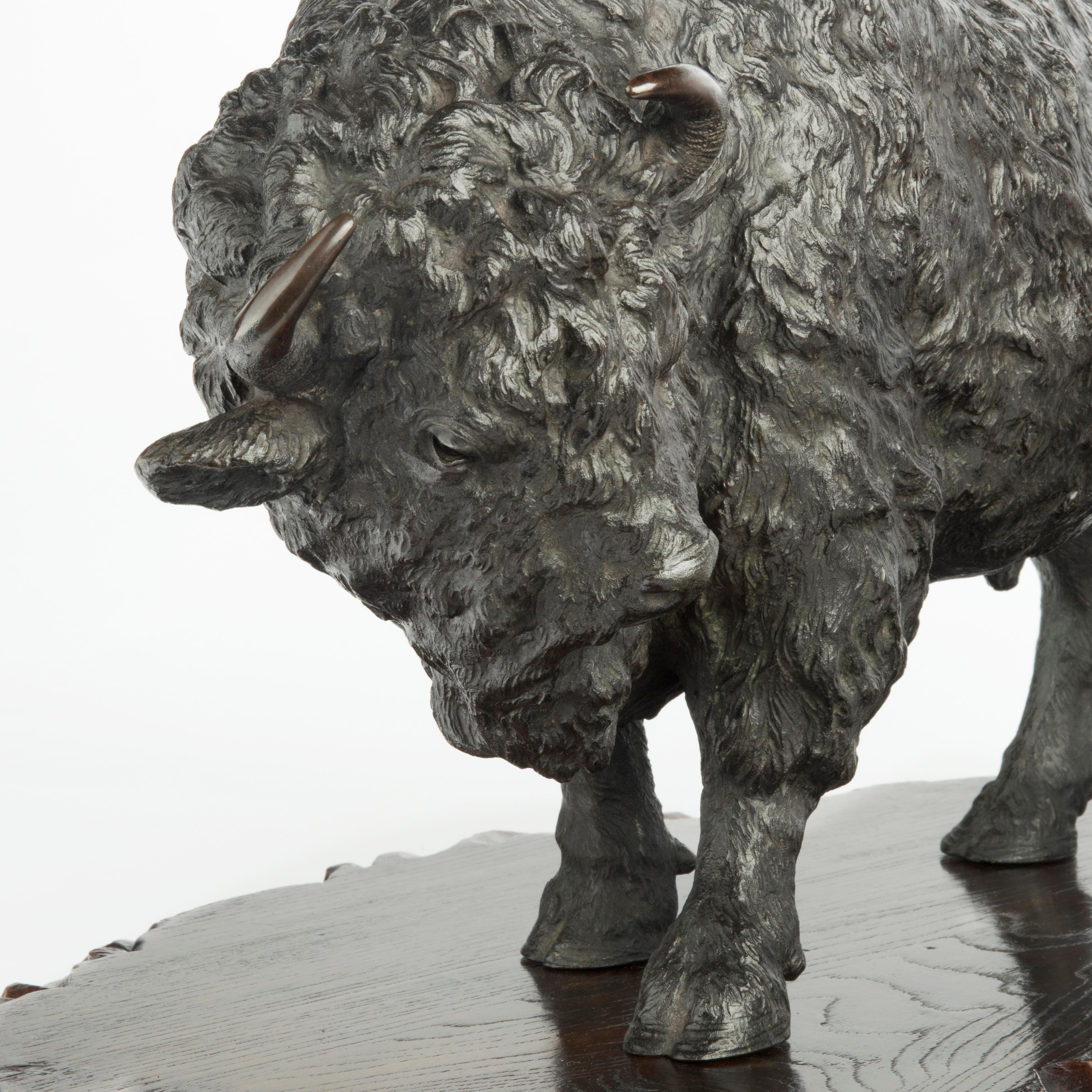 Early 20th Century Large and Impressive Meiji Period Bronze Bison by Sano Takachika for the Kakuh For Sale