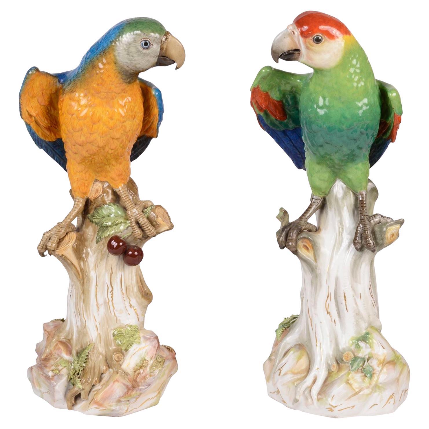 A large and impressive pair of Meissen parrots, circa 1890, 43cm high For Sale