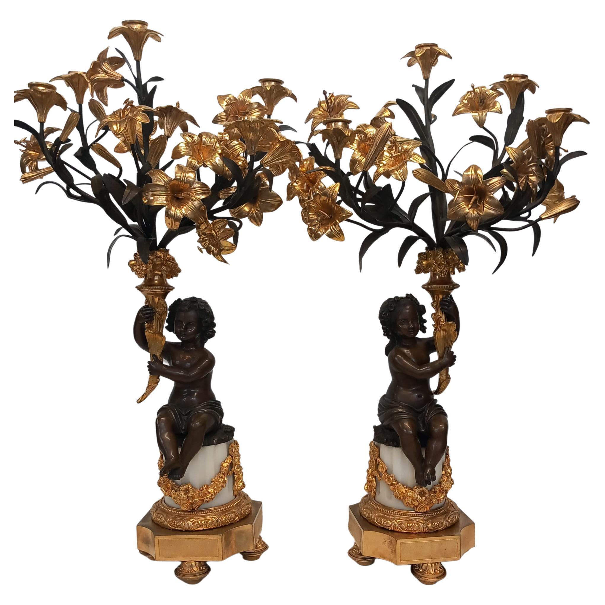 A large antique pair of French neoclassical candelabra in dark and gilt bronze  For Sale