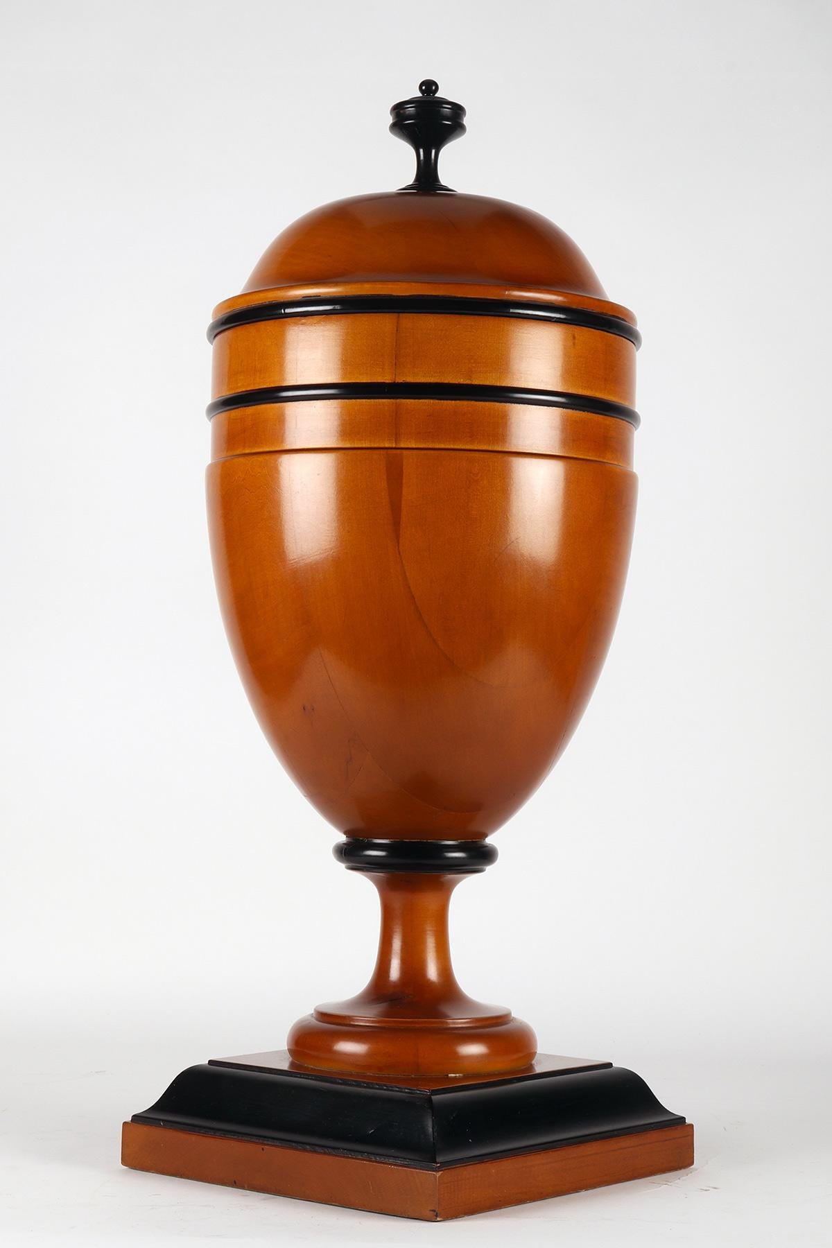 Austrian A large apothecary-herbalist Biedermeier wooden jar, Austria 1850. For Sale