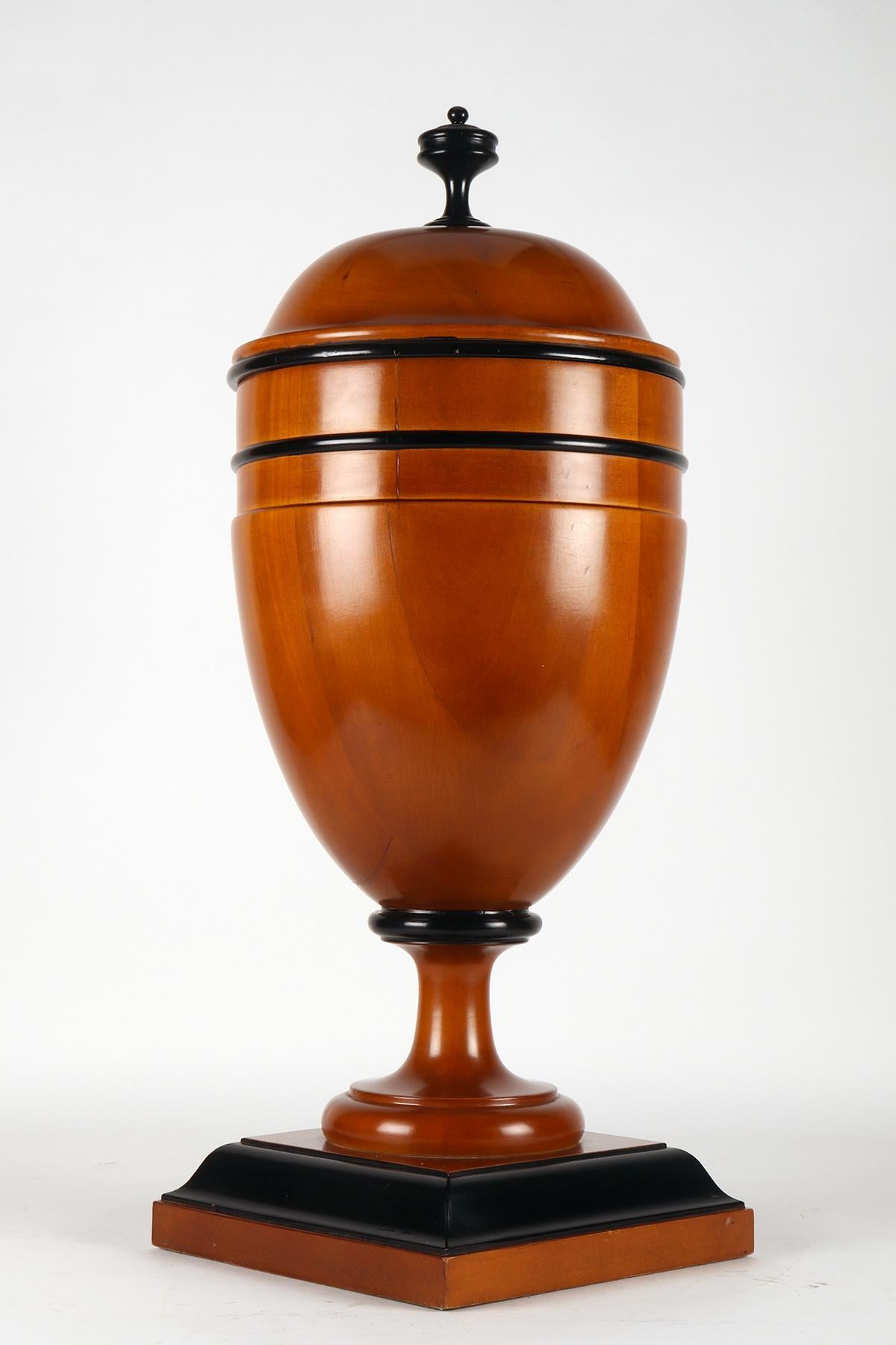 A large apothecary-herbalist Biedermeier wooden jar, Austria 1850. In Good Condition For Sale In Milan, IT