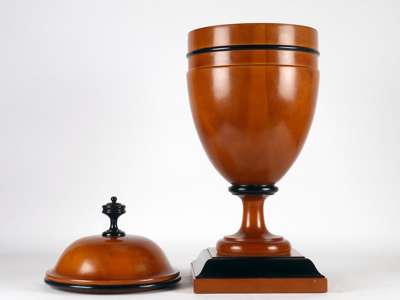 19th Century A large apothecary-herbalist Biedermeier wooden jar, Austria 1850. For Sale