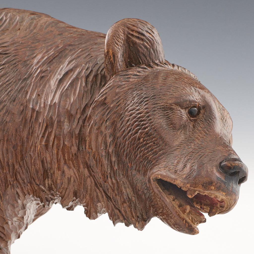 Large Black Forest Carved Bear, circa 1900 4