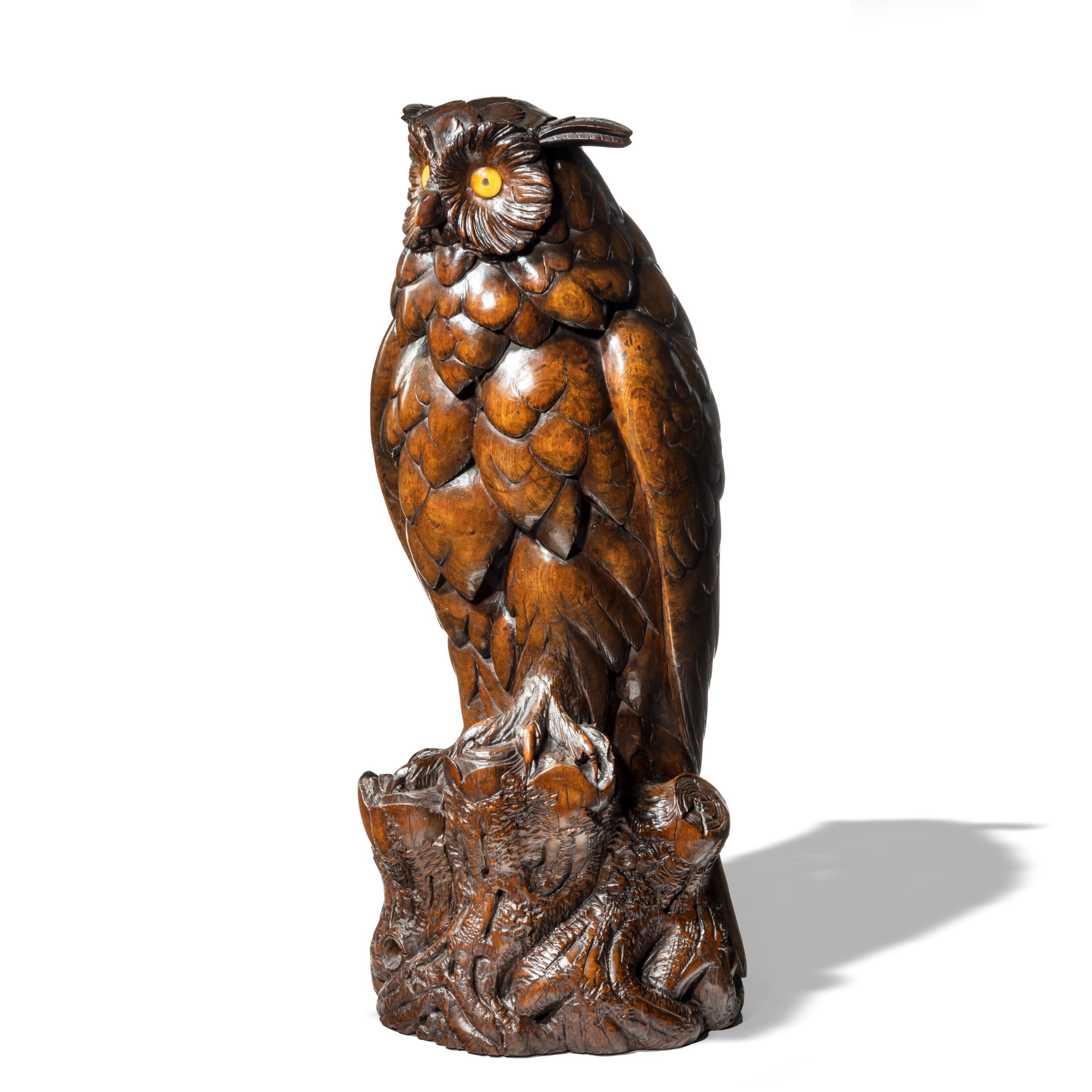 black forest owl