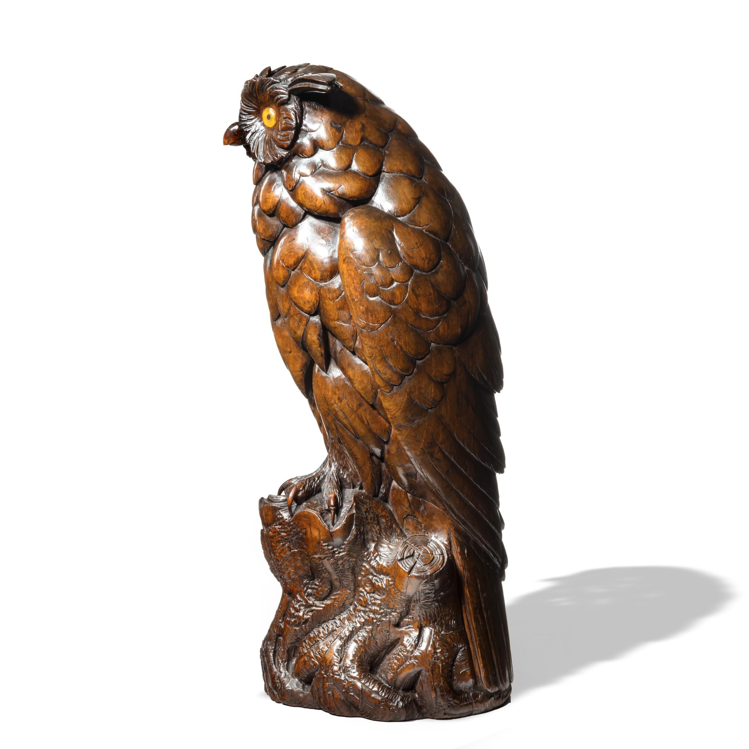 forest eagle owl