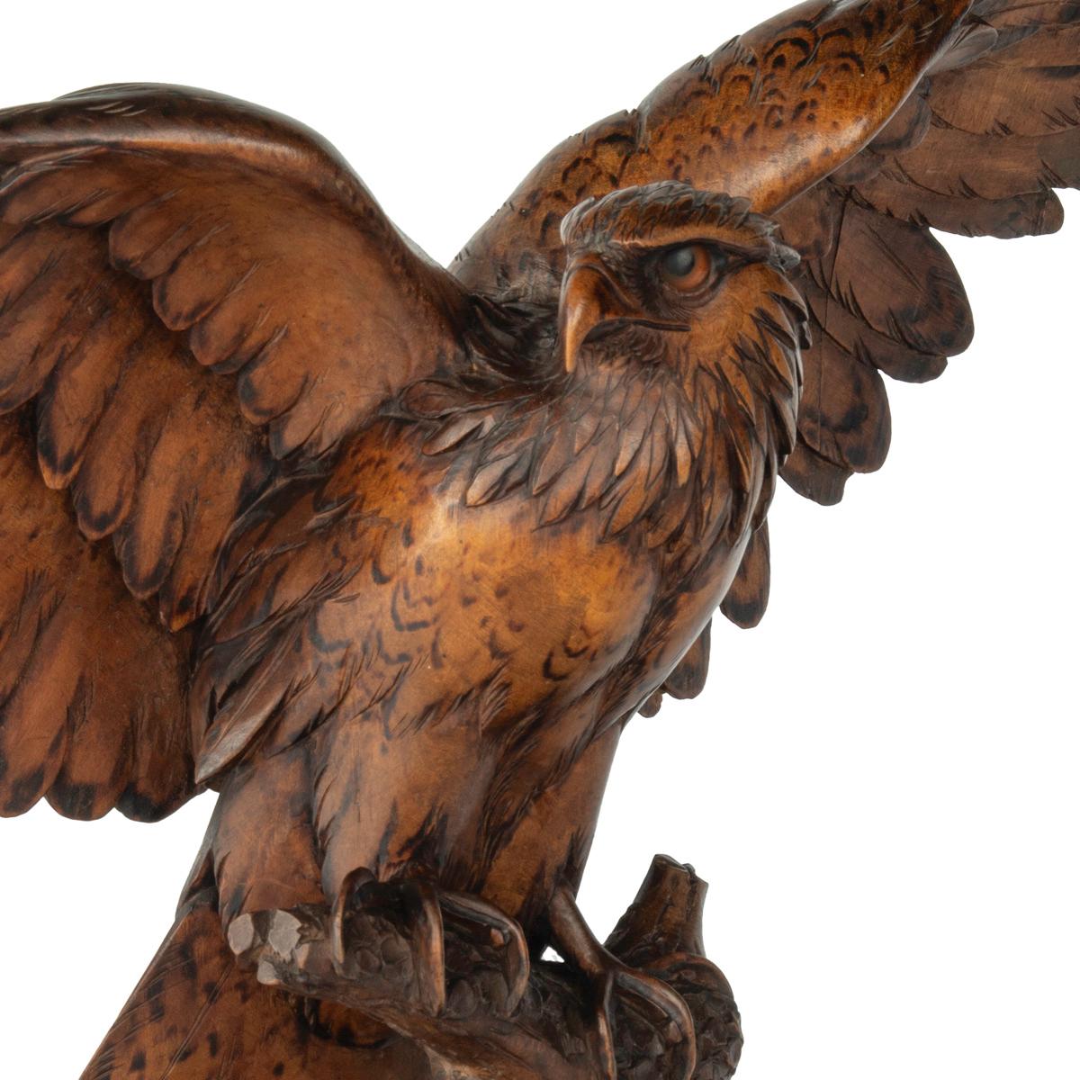Grande sculpture en bois de noyer de la Forêt-Noire représentant un aigle perché sur une souche d'arbre, les ailes déployées et la tête tournée vers la droite, avec des détails tachés de noir sur les plumes et le dos.  yeux en verre encastrés. 