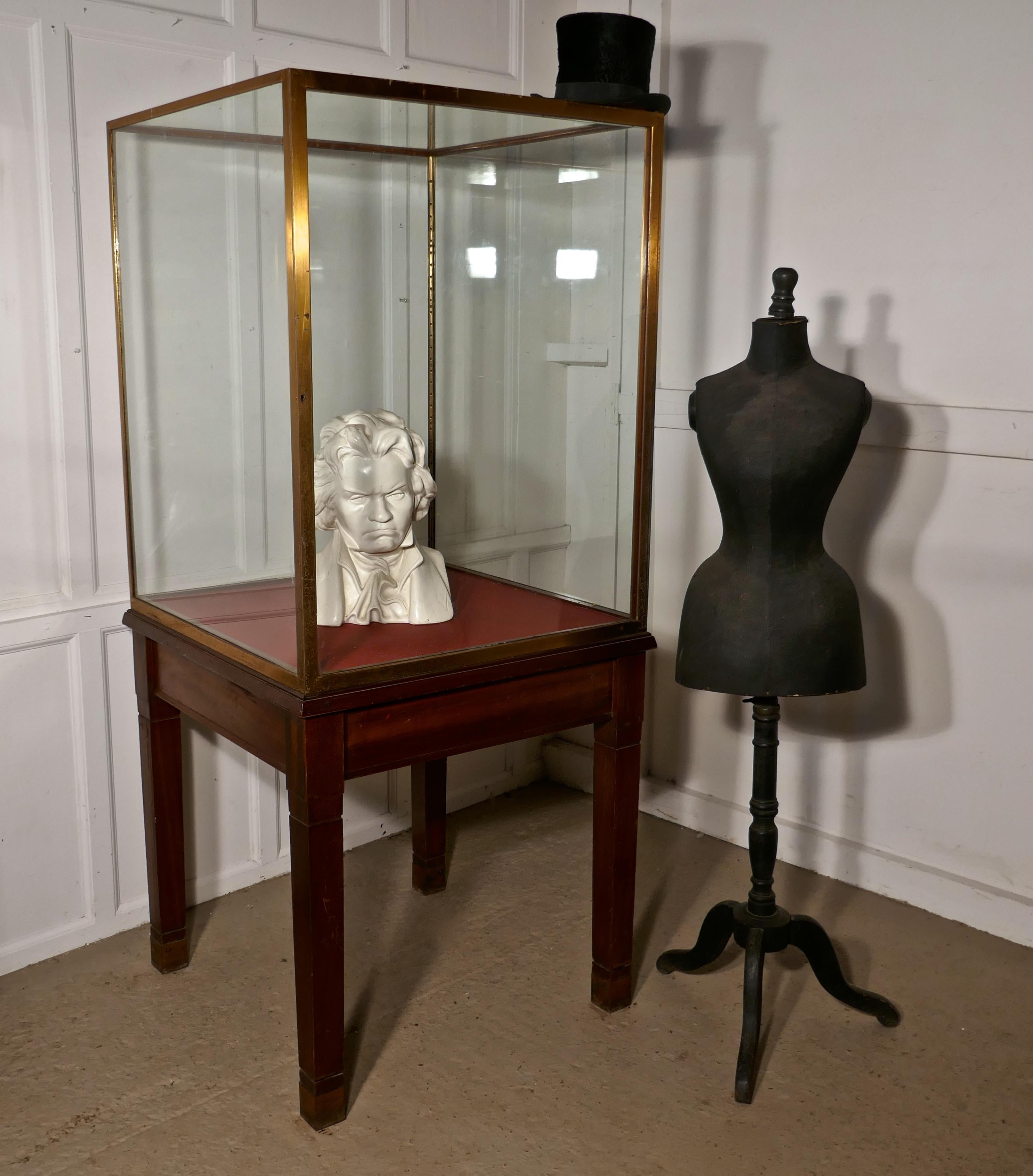 A large brass and mahogany museum display cabinet 

This is a very good quality cabinet, made by Edmonds & Co., the Museum fitters, the case is made in brass and glazed on all four sides with a full length door opening at the back, the floor of