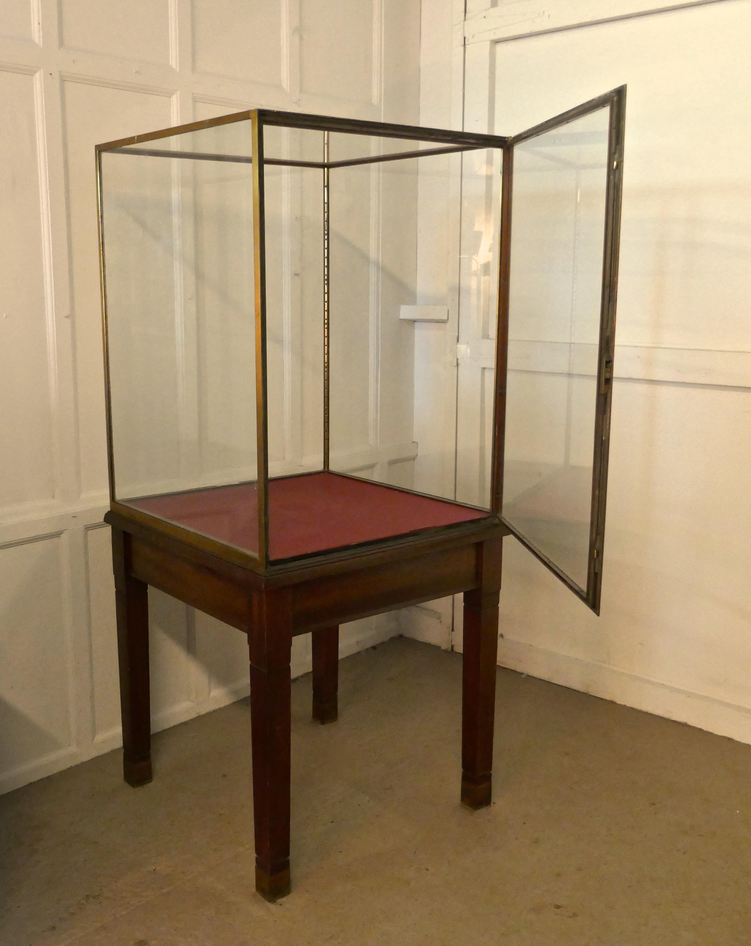 Large Brass and Mahogany Museum Display Cabinet In Good Condition In Chillerton, Isle of Wight