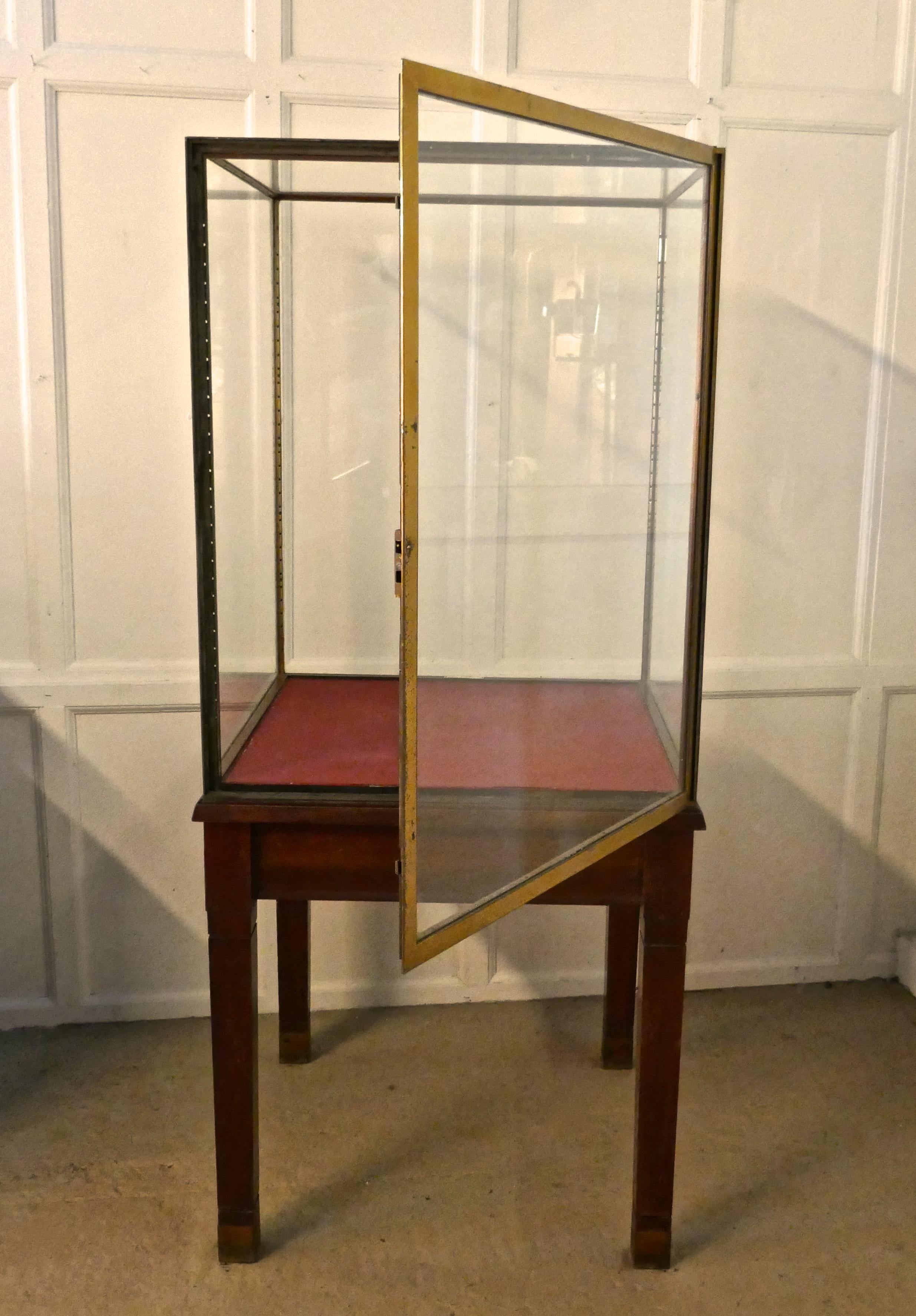 Large Brass and Mahogany Museum Display Cabinet 1