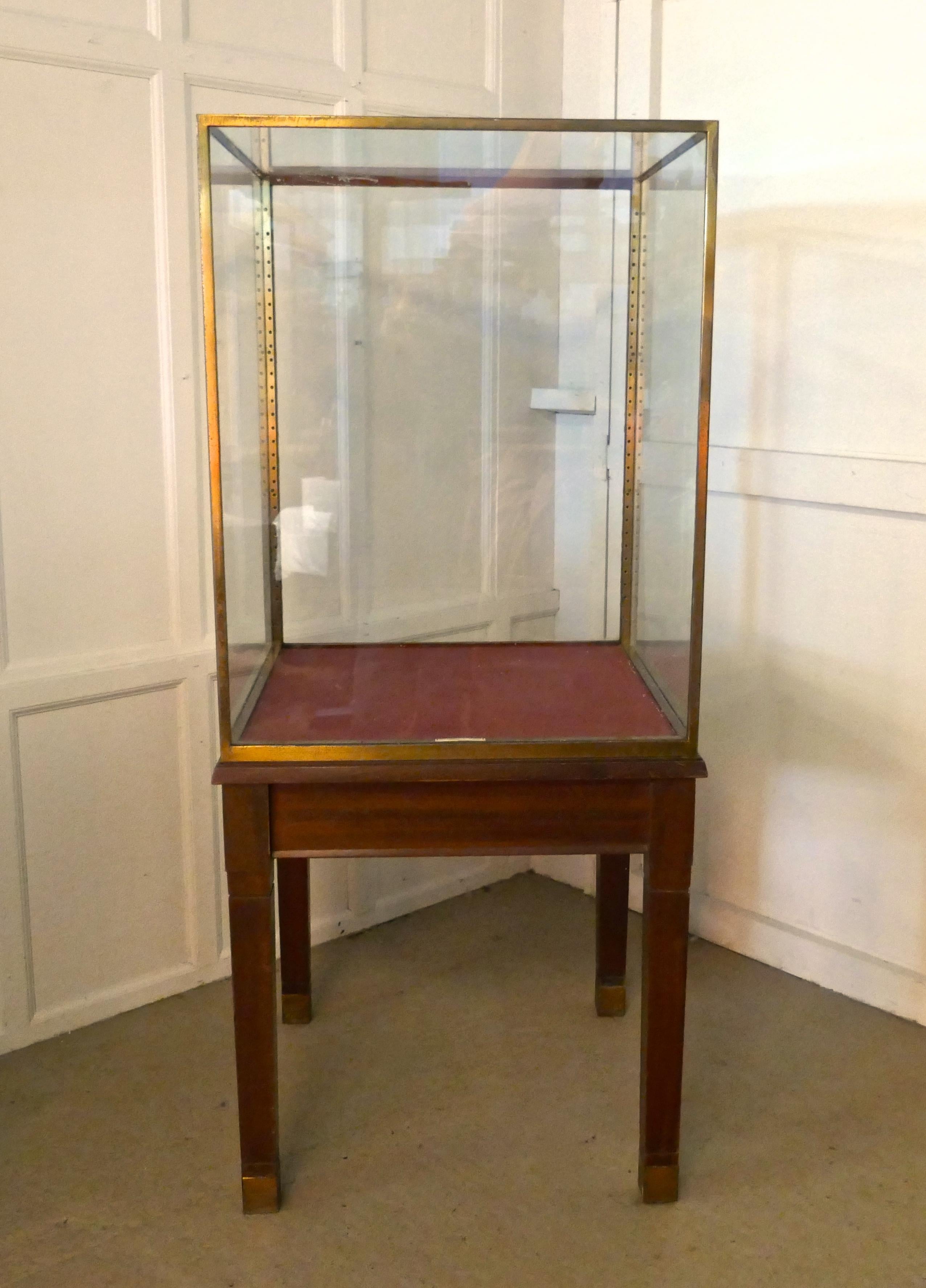 Large Brass and Mahogany Museum Display Cabinet 2