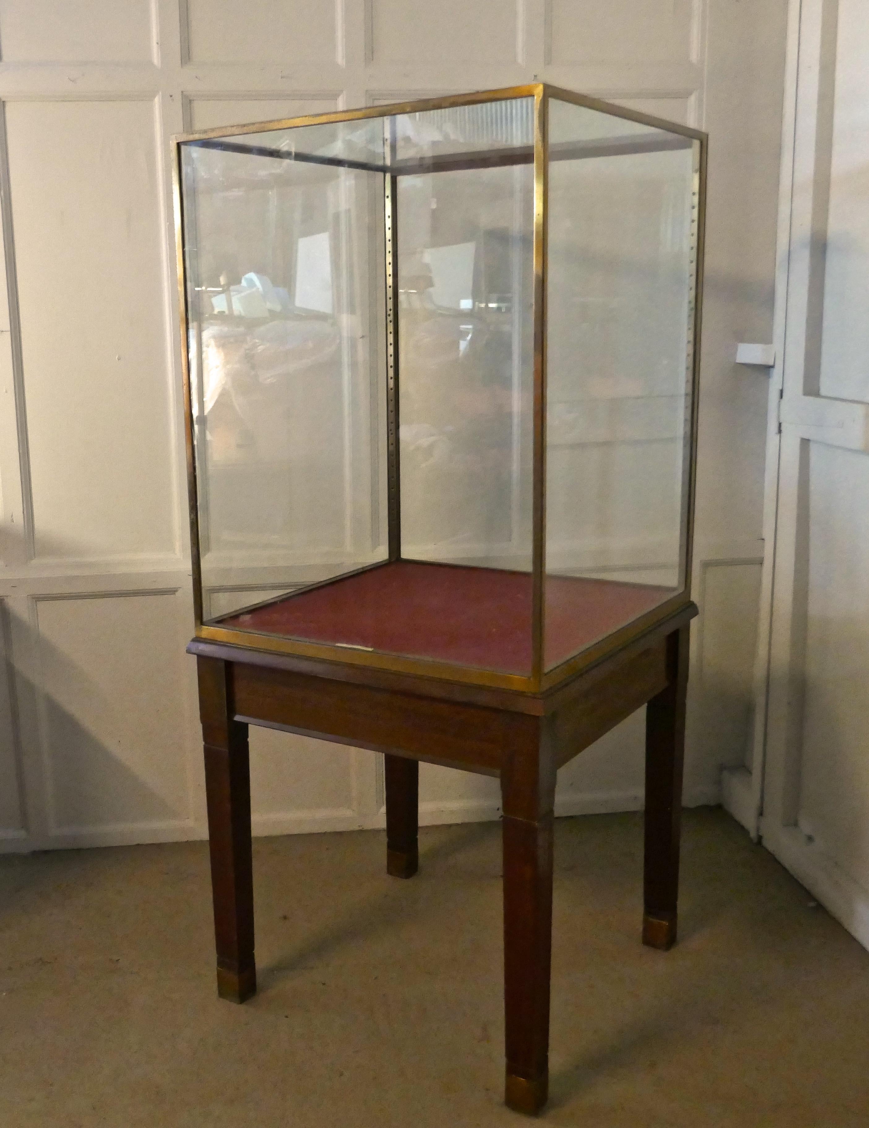 Large Brass and Mahogany Museum Display Cabinet 4