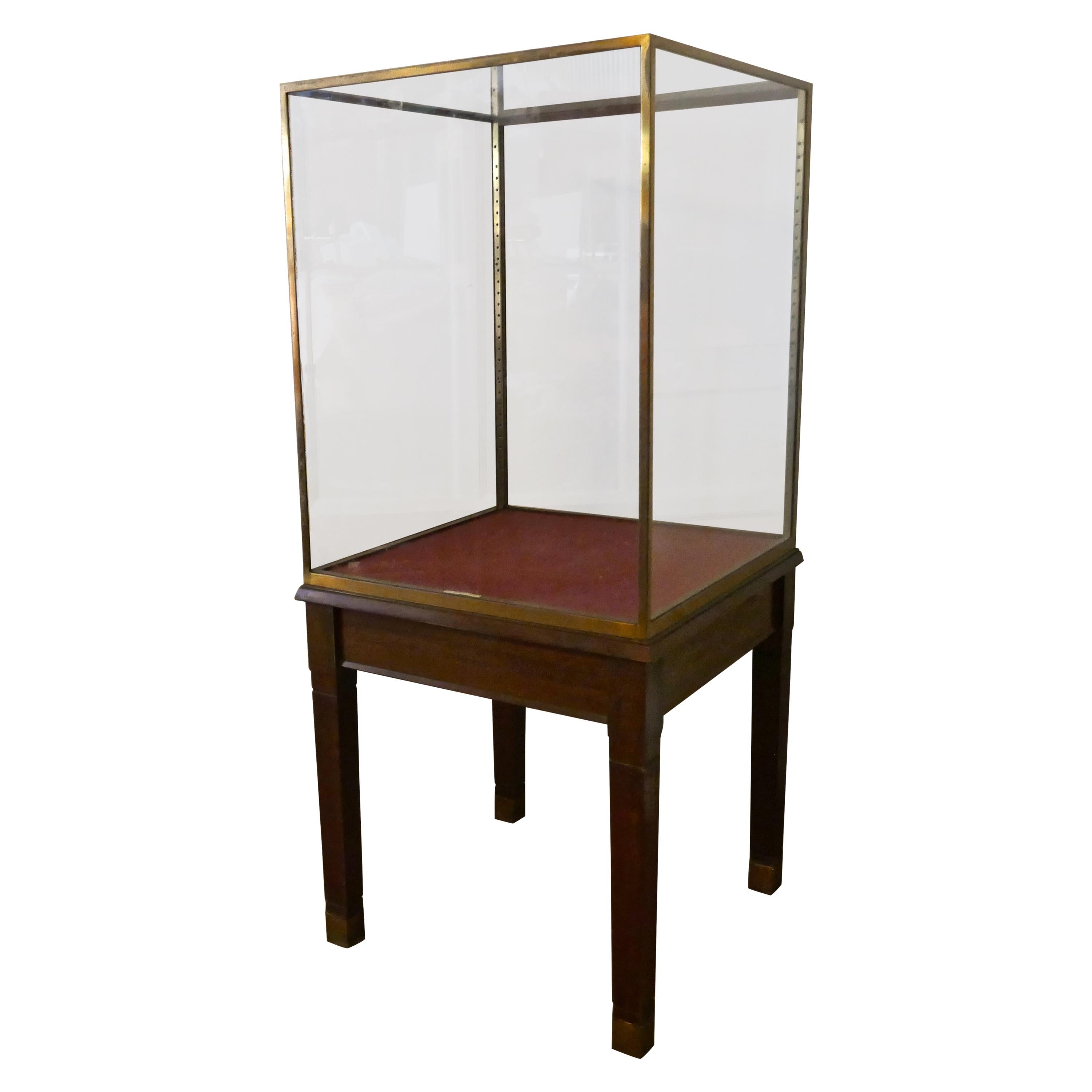 Large Brass and Mahogany Museum Display Cabinet