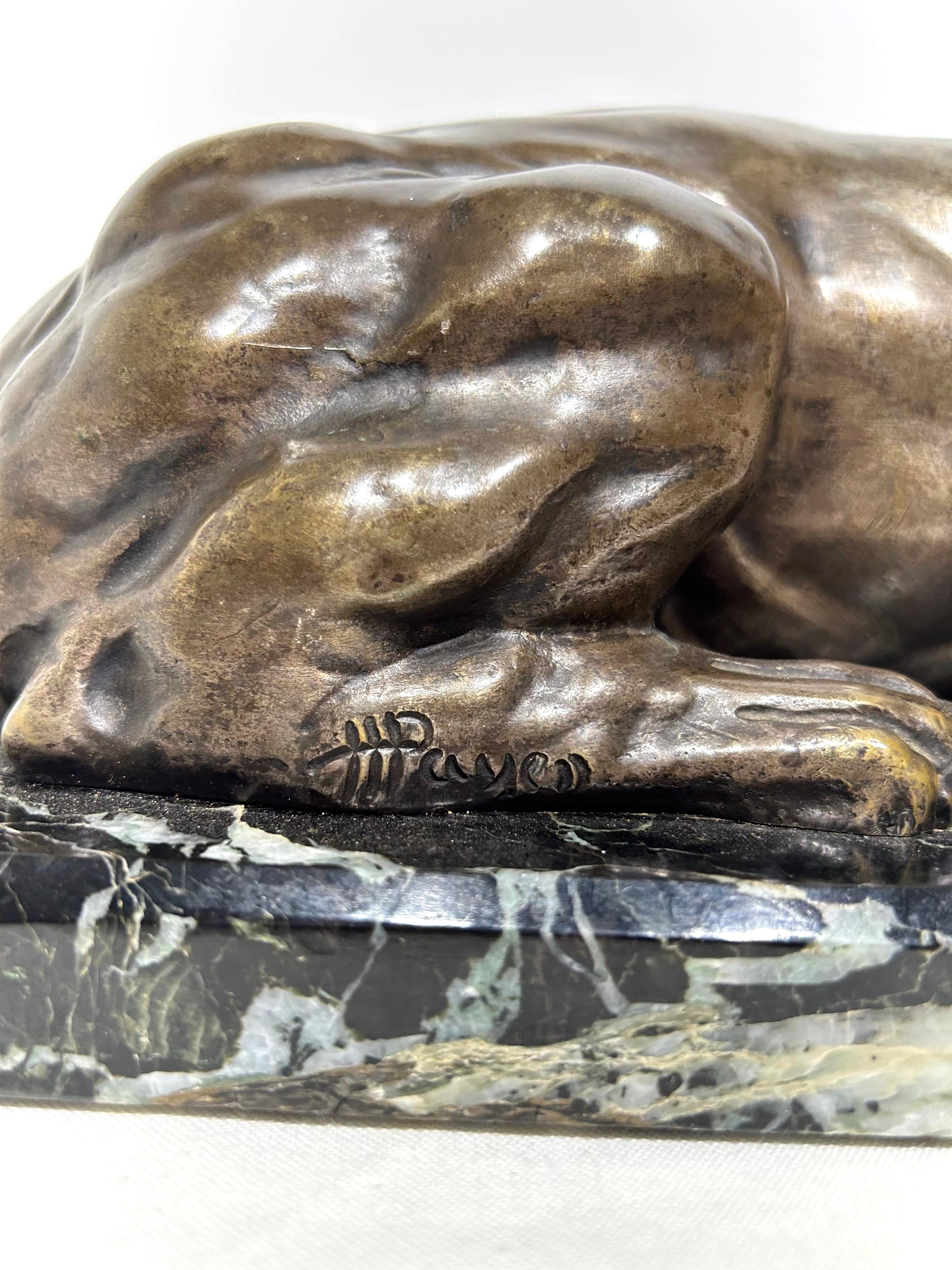 Large Bronze Sculpture Depicting a Recumbent Lioness Mounted on a Marble Based In Good Condition In Southall, GB