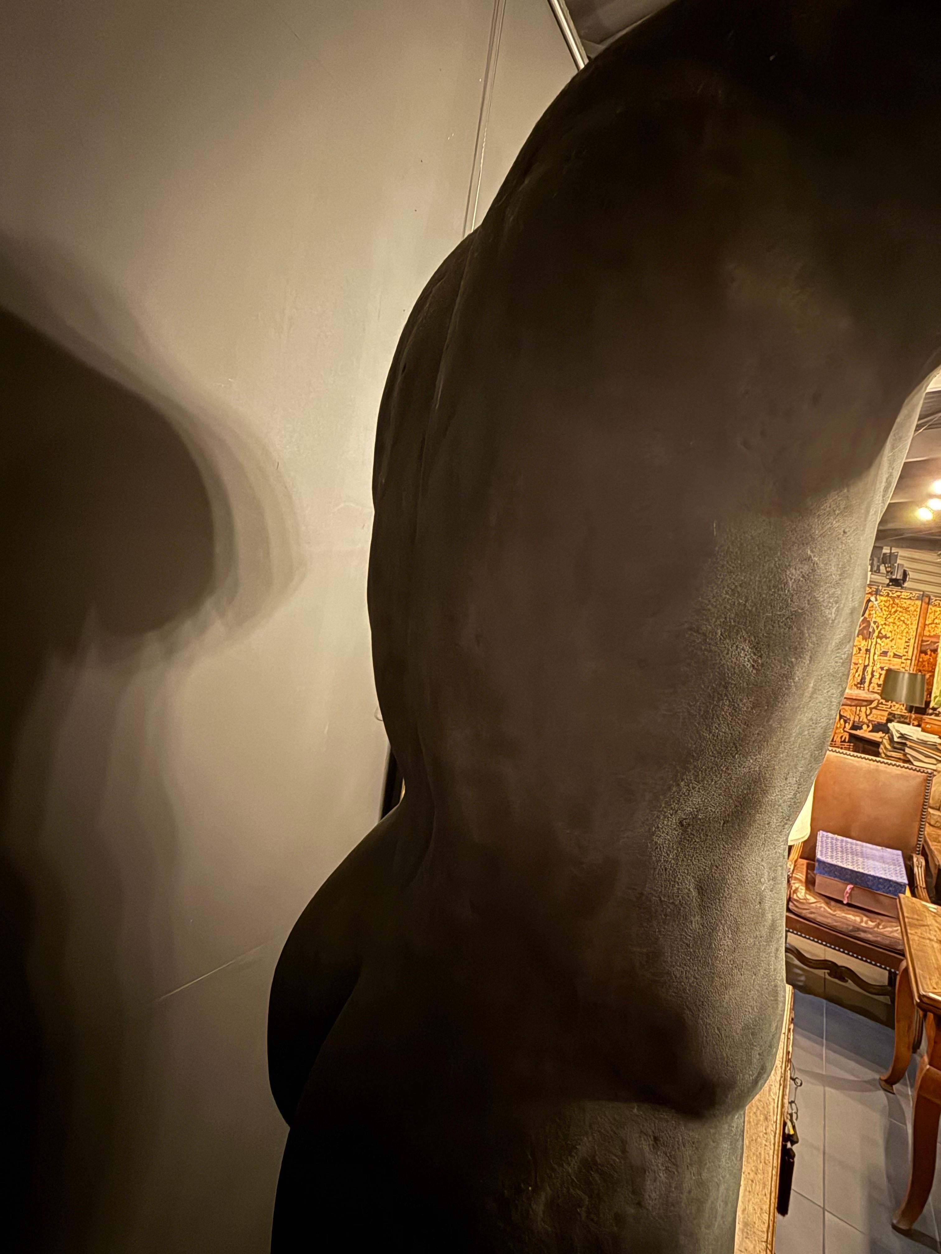 Bronzo Un grande torso di bronzo in vendita
