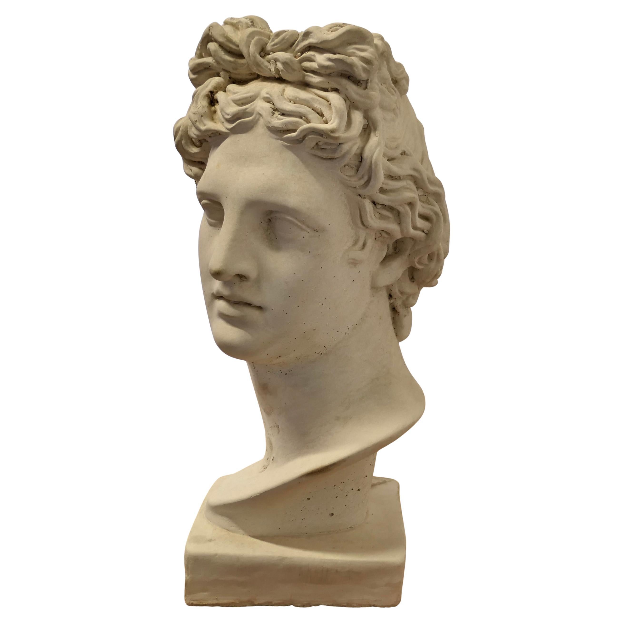 A Large Bust of Apollo This is a good looking bust
