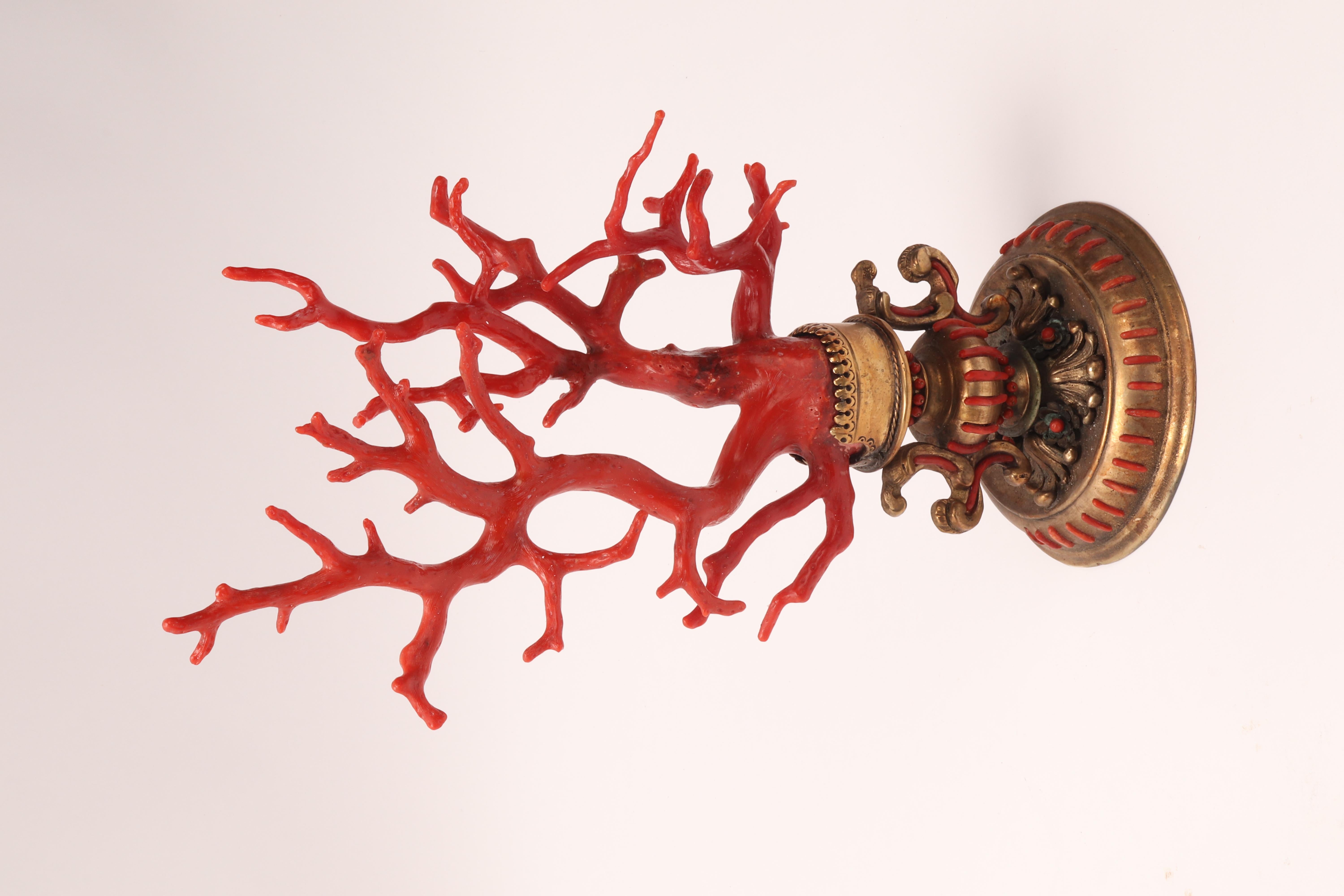 Large Coral Branch from Wunderkammer, Italy, 1840 4