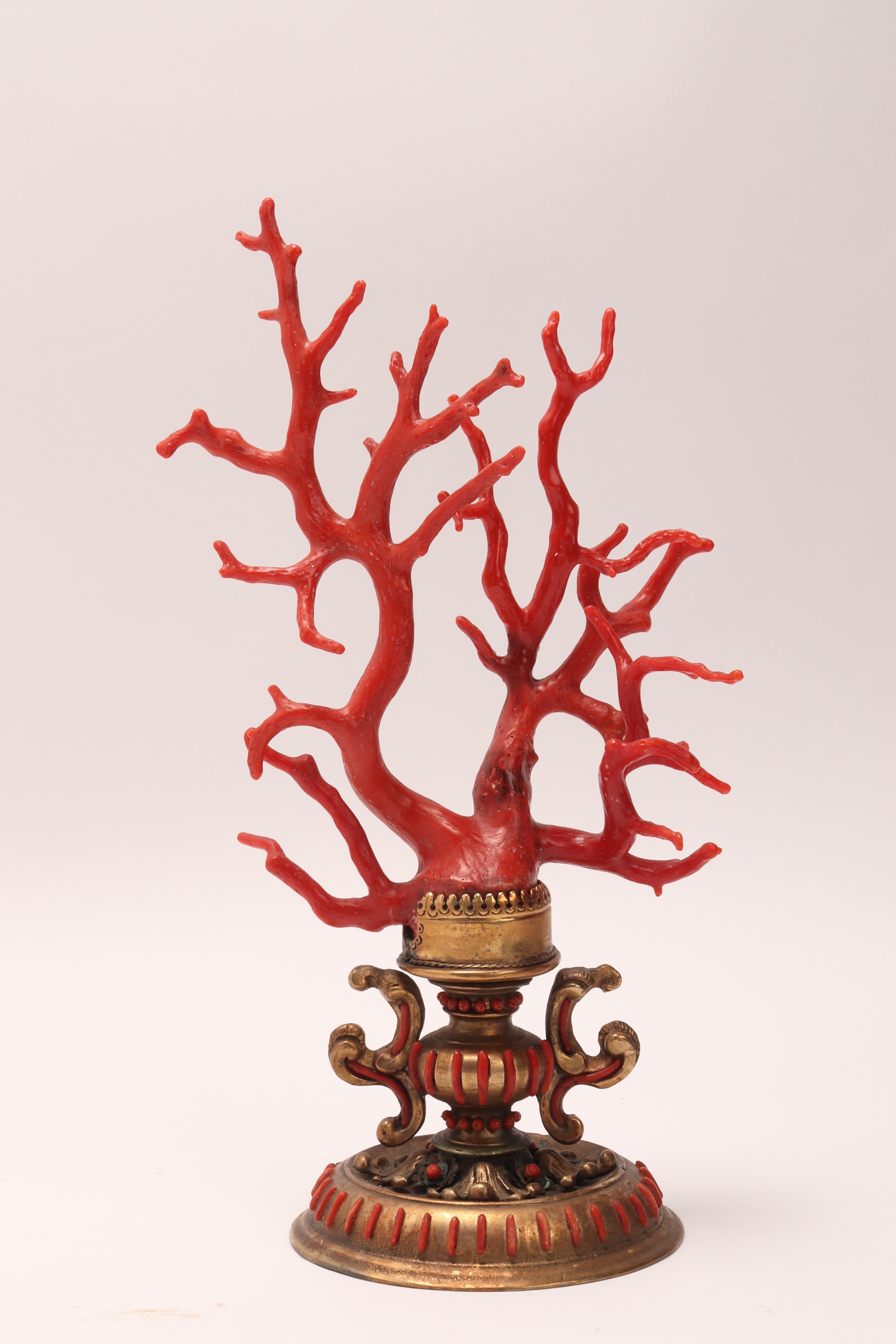 This large branch of Mediterranean coral, 'Corallium Rubrum' is mounted on a gilt bronze base. The realization of the base involves different techniques: the lost wax casting, the casting in the mold, the hammered. All finely chiseled by hand. The