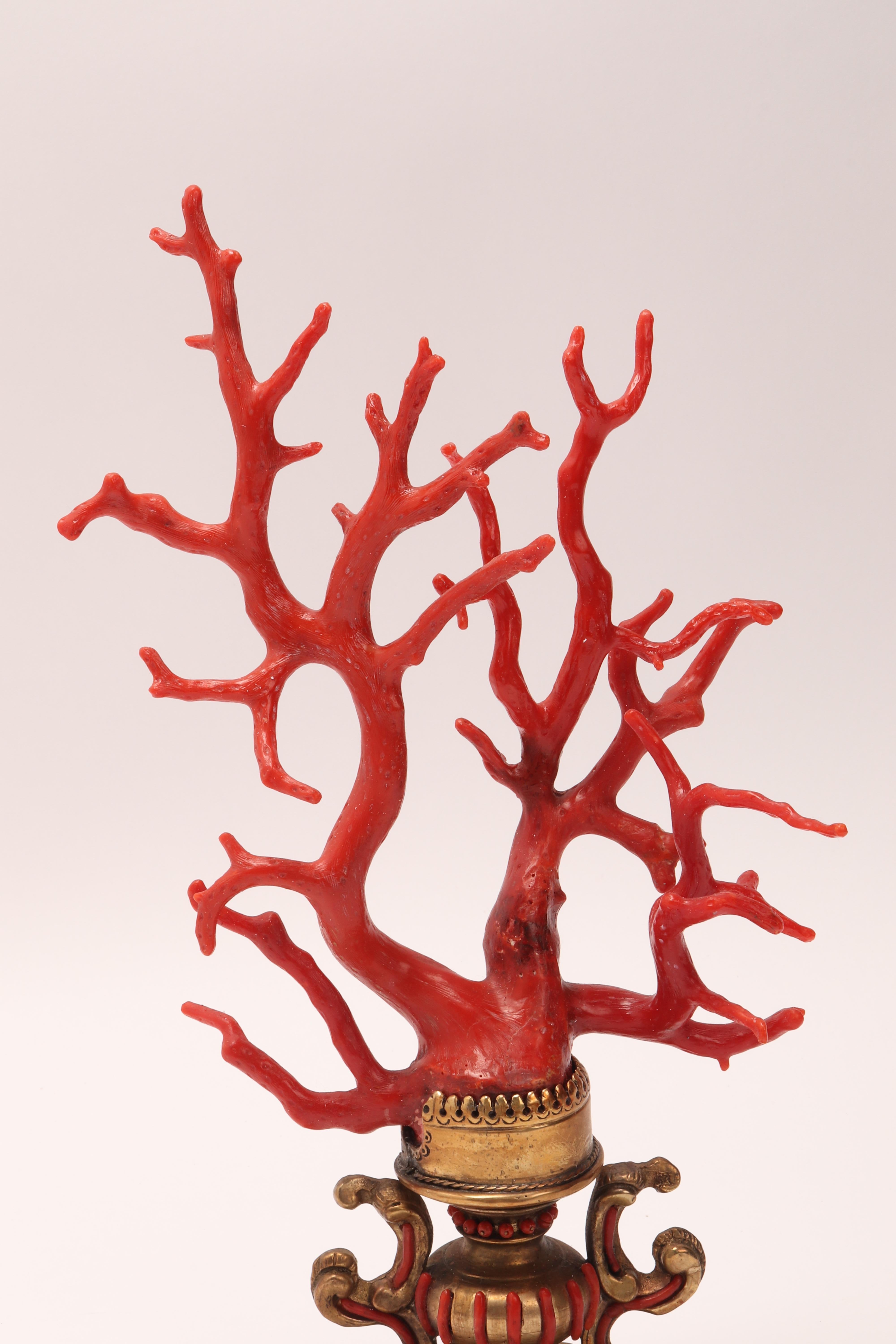Large Coral Branch from Wunderkammer, Italy, 1840 In Excellent Condition In Milan, IT