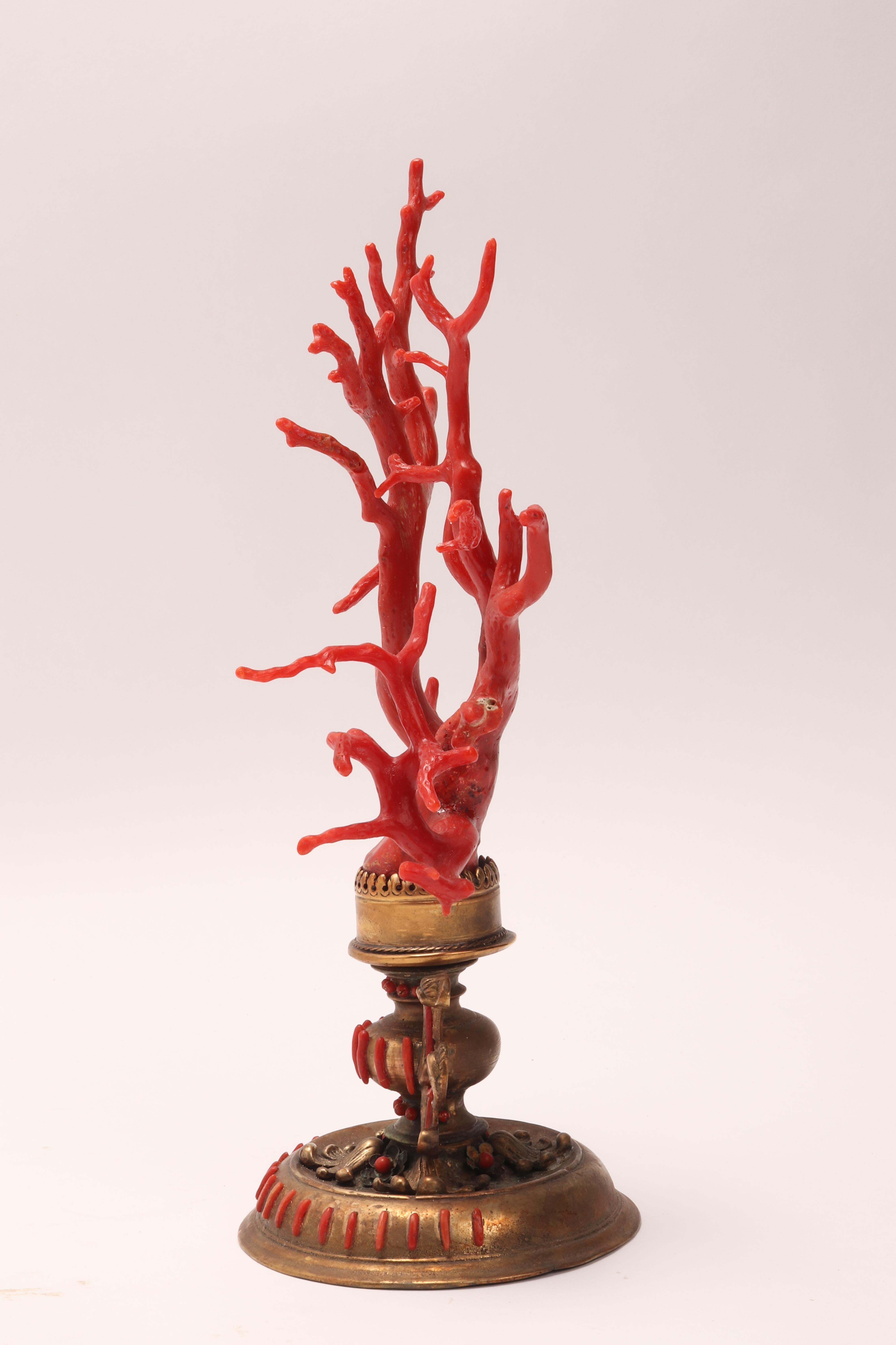 Mid-19th Century Large Coral Branch from Wunderkammer, Italy, 1840