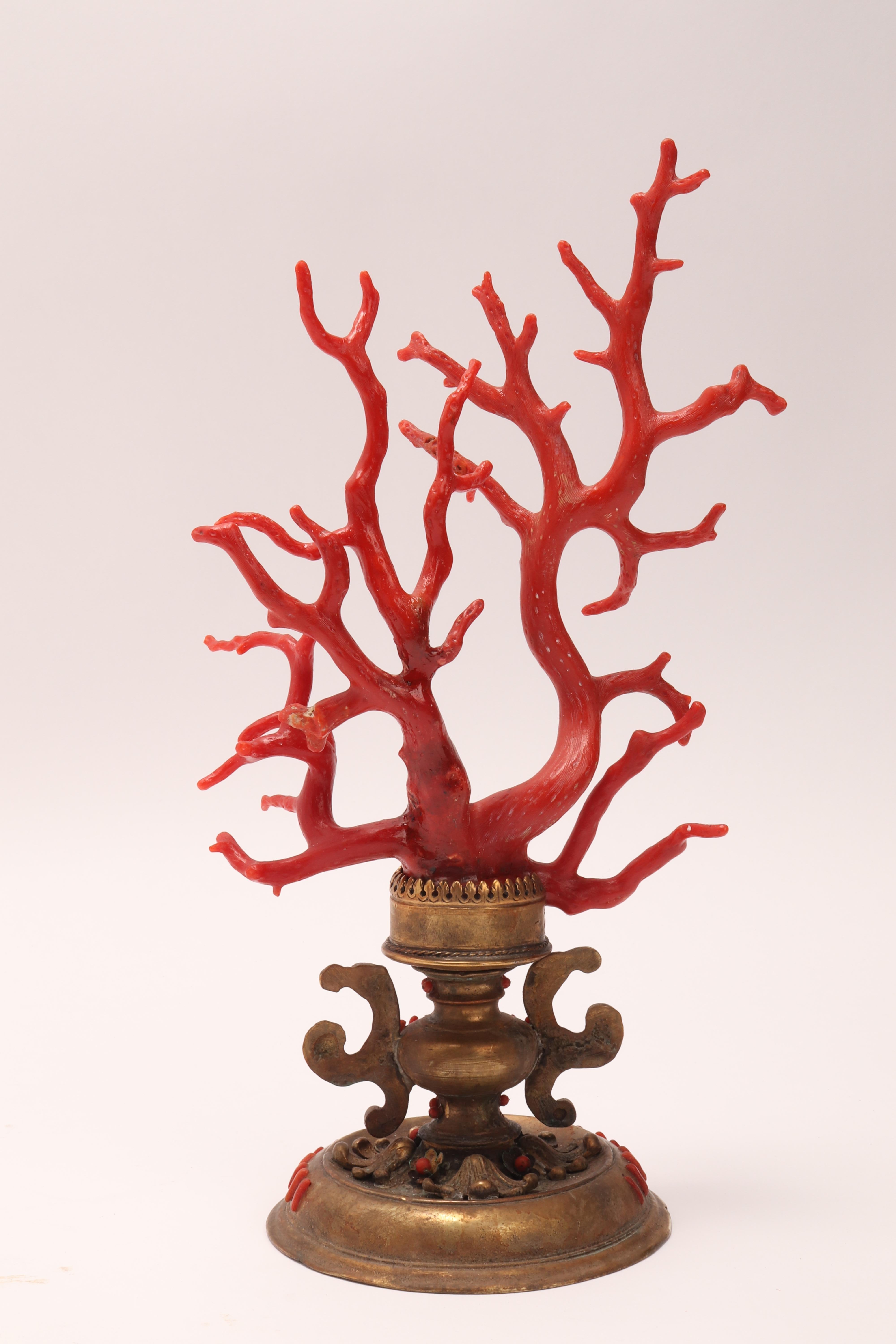 Brass Large Coral Branch from Wunderkammer, Italy, 1840