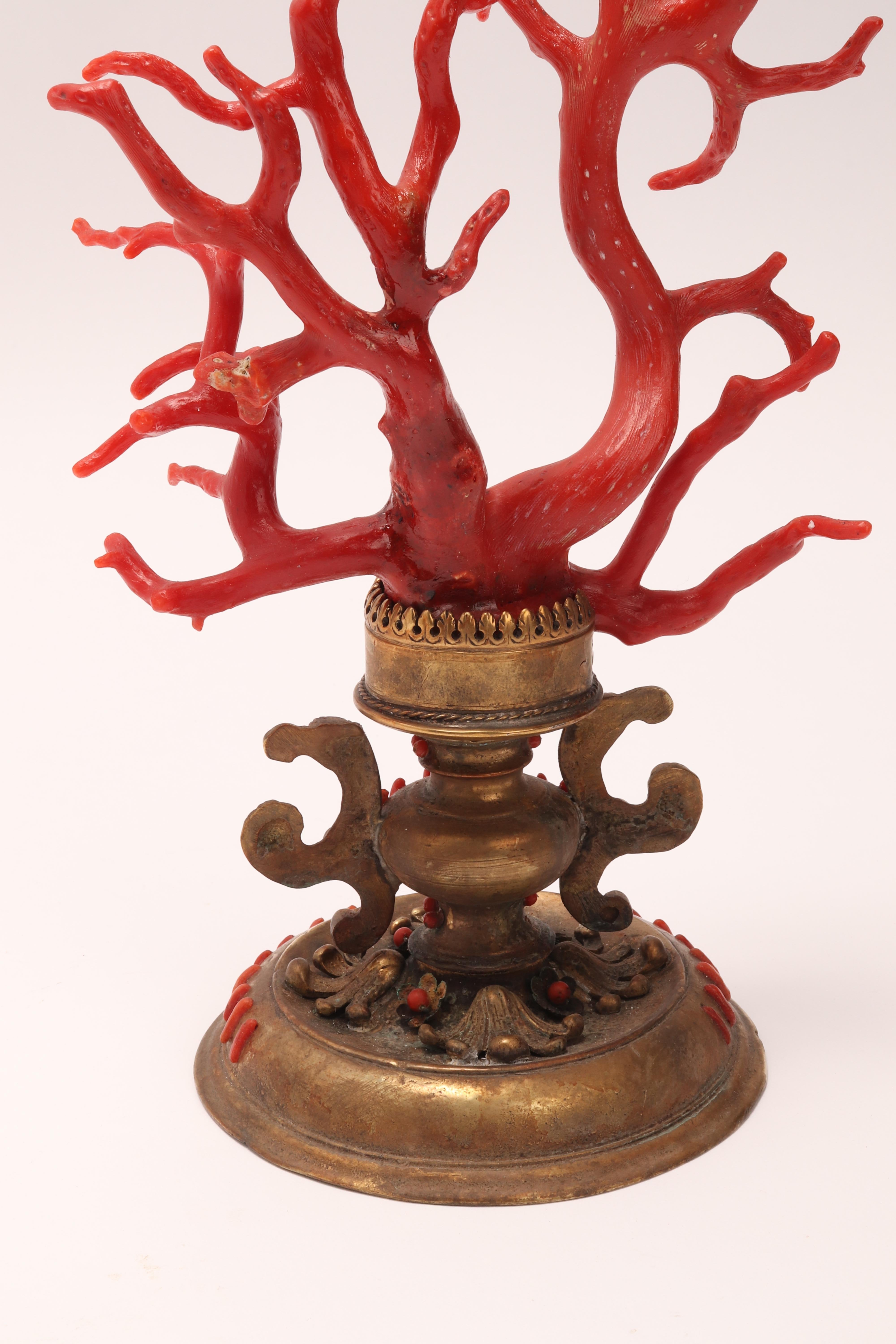 Large Coral Branch from Wunderkammer, Italy, 1840 1