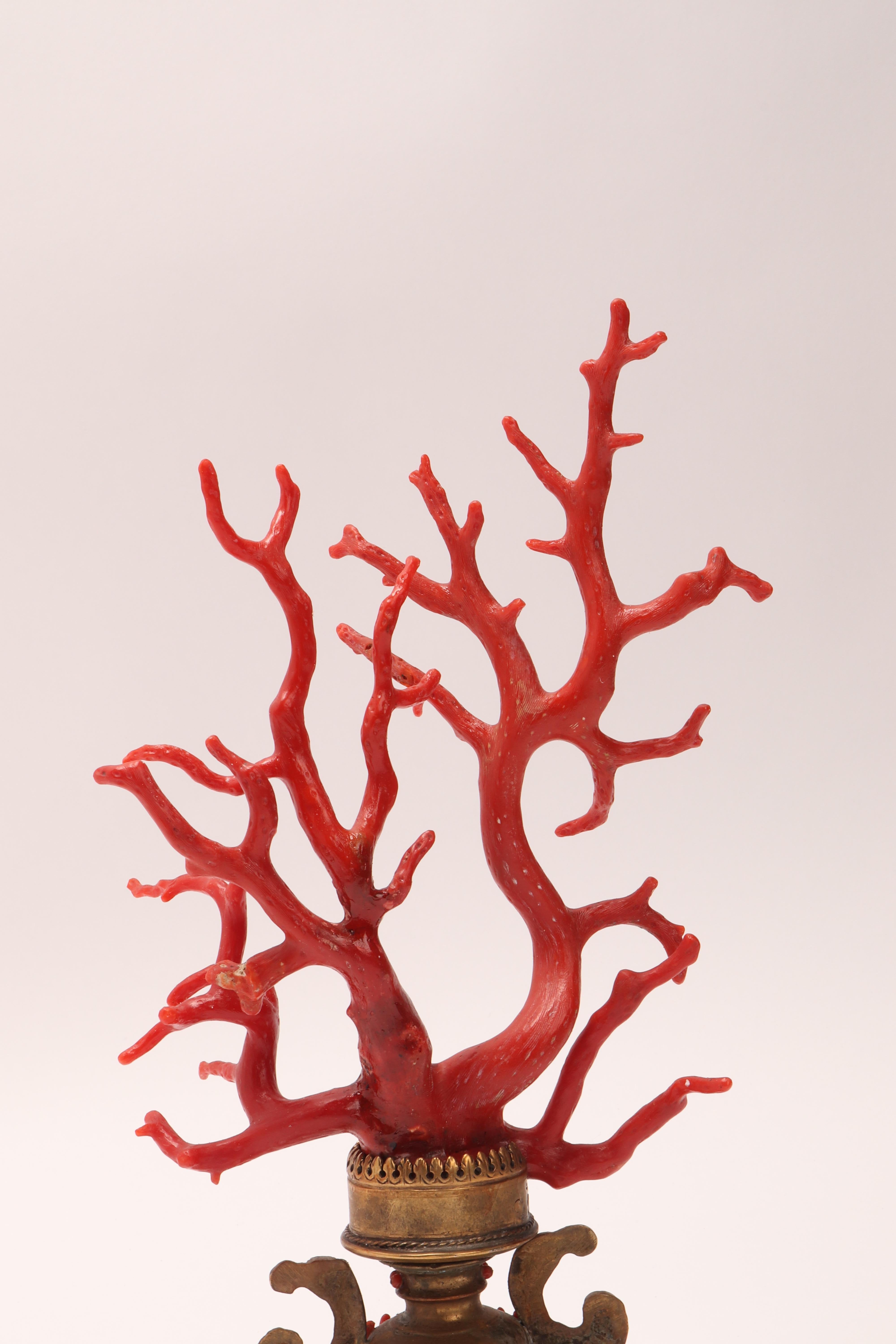 Large Coral Branch from Wunderkammer, Italy, 1840 2
