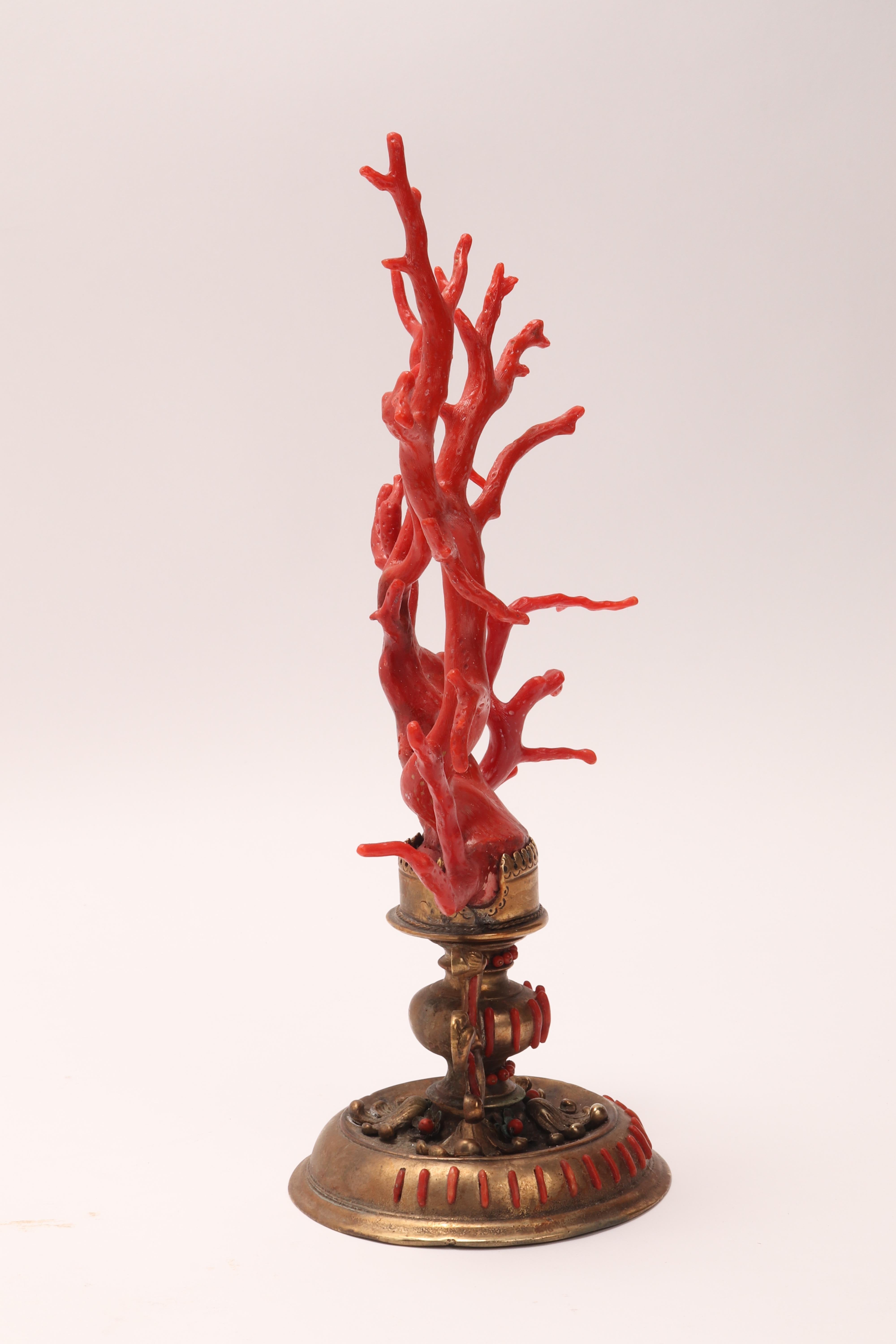 Large Coral Branch from Wunderkammer, Italy, 1840 3
