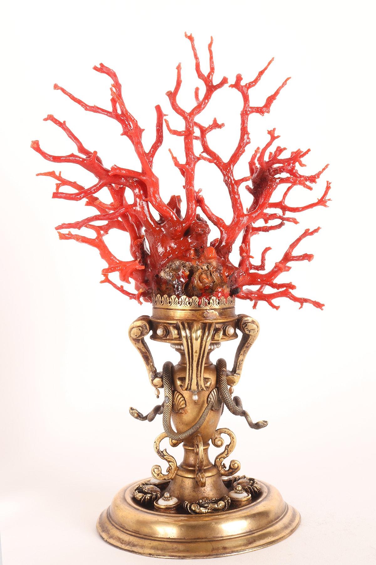 Italian Large Coral Branch from Wunderkammer, Trapani, Italy, 1820