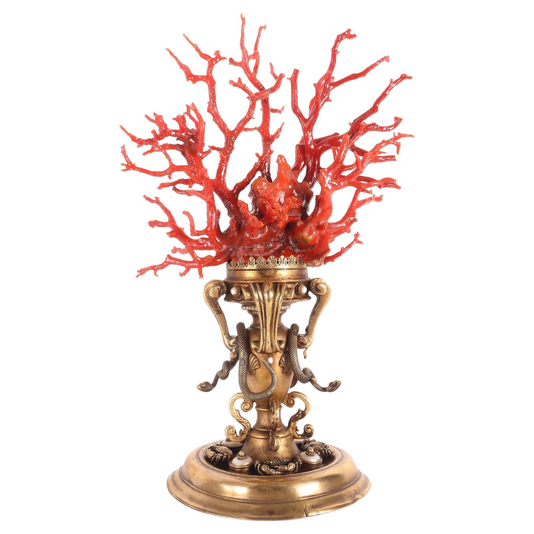 Large Coral Branch from Wunderkammer, Trapani, Italy, 1820