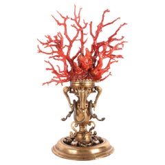 Large Coral Branch from Wunderkammer, Trapani, Italy, 1820