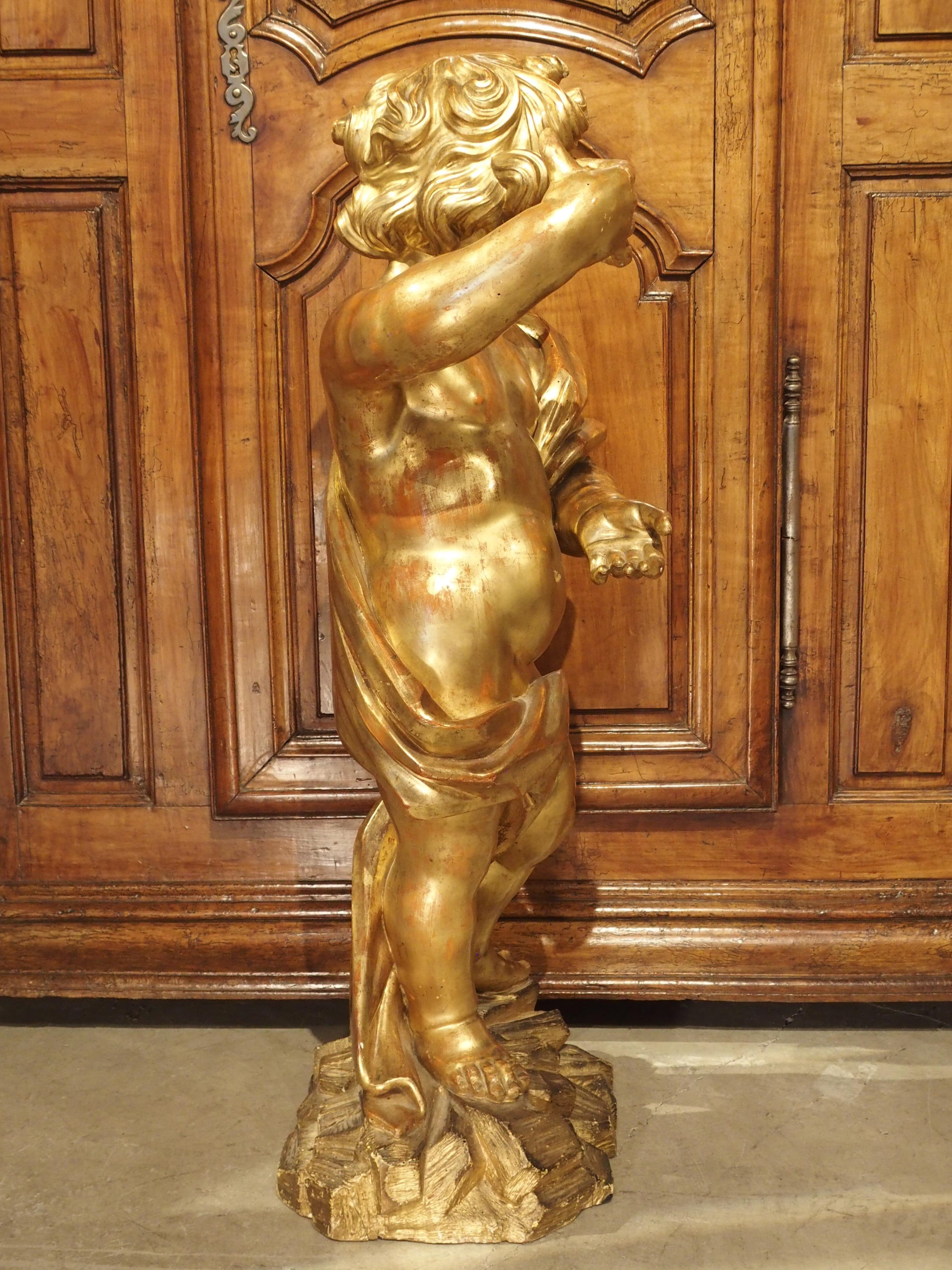 Wood Large Early 18th Century Carved Giltwood Cherub Statue from Italy For Sale