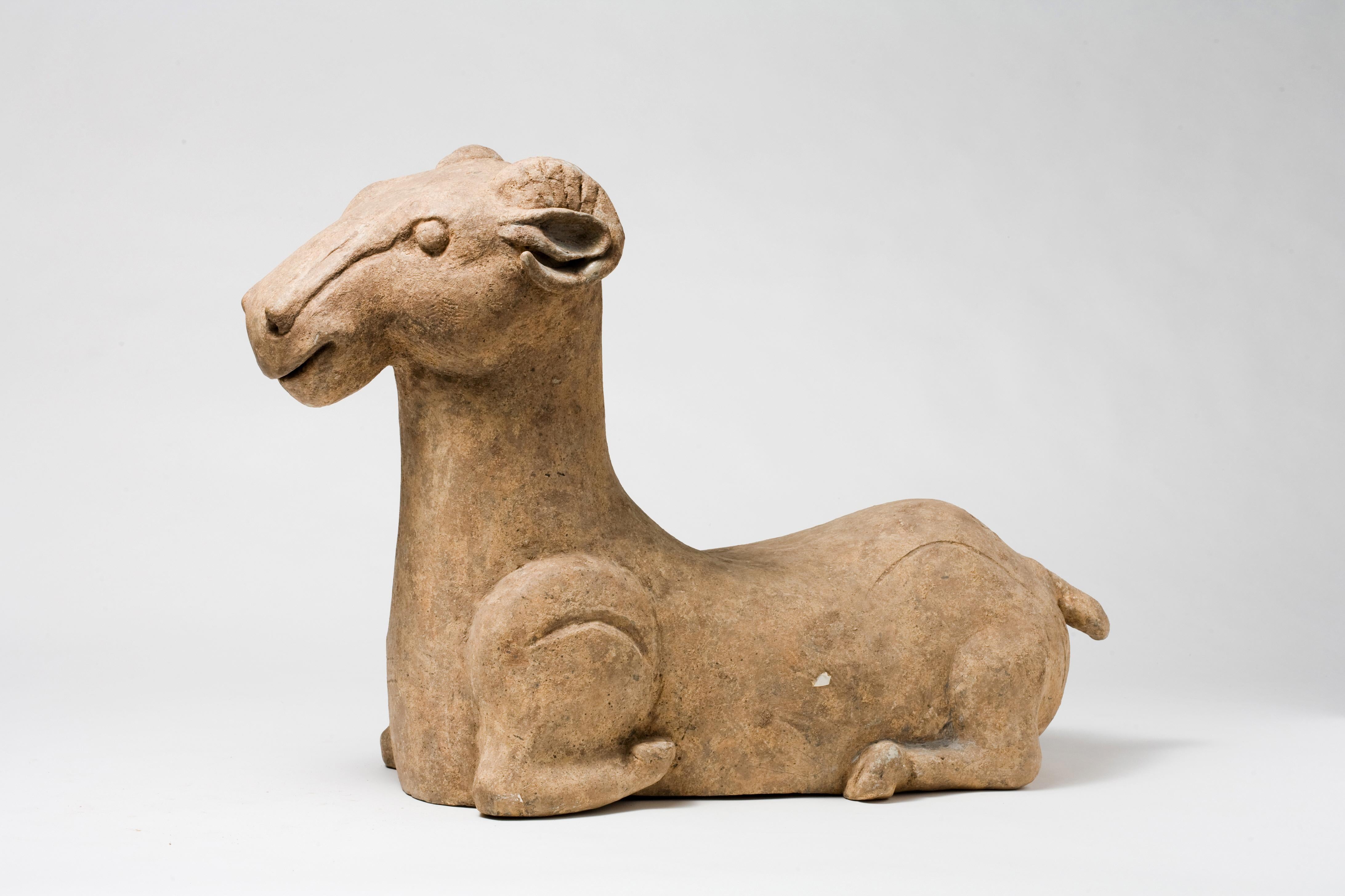 Questa capra in terracotta è caratterizzata da tratti stilizzati comuni al periodo. Queste figure di animali potevano avere scopi rituali o religiosi, riflettendo le pratiche e le credenze riguardanti la vita e l'aldilà.

Periodo: Dinastia Han (206