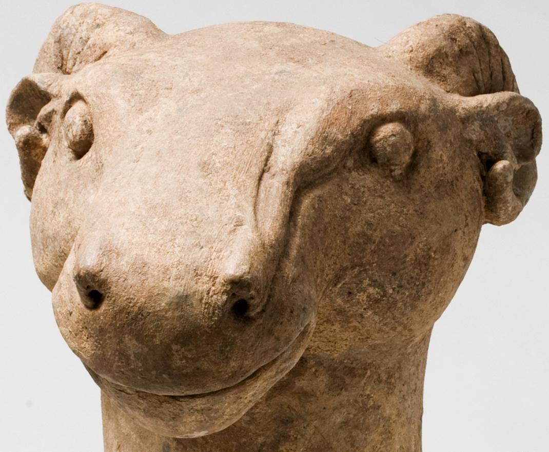 Una grande capra di terracotta della dinastia Han (206 a.C. - 220 d.C.) In condizioni buone in vendita a seoul, KR