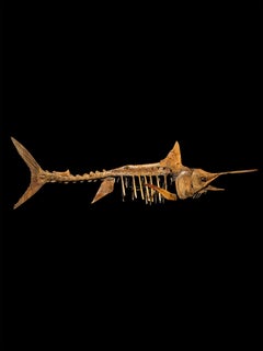 A large handmade wooden sculpture, study of a Marlin, in skeletal form.