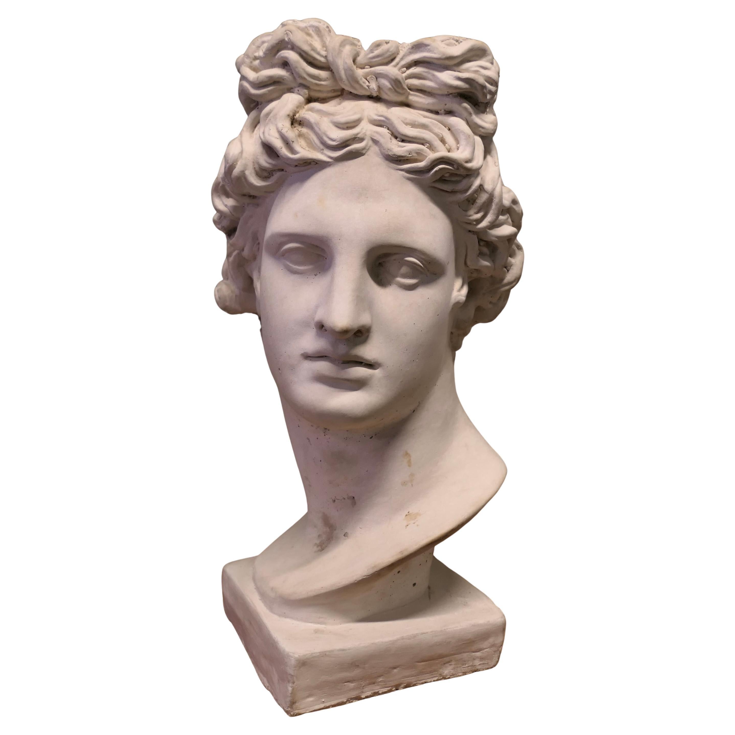 A Large Heavy Bust of Apollo This is a good looking bust