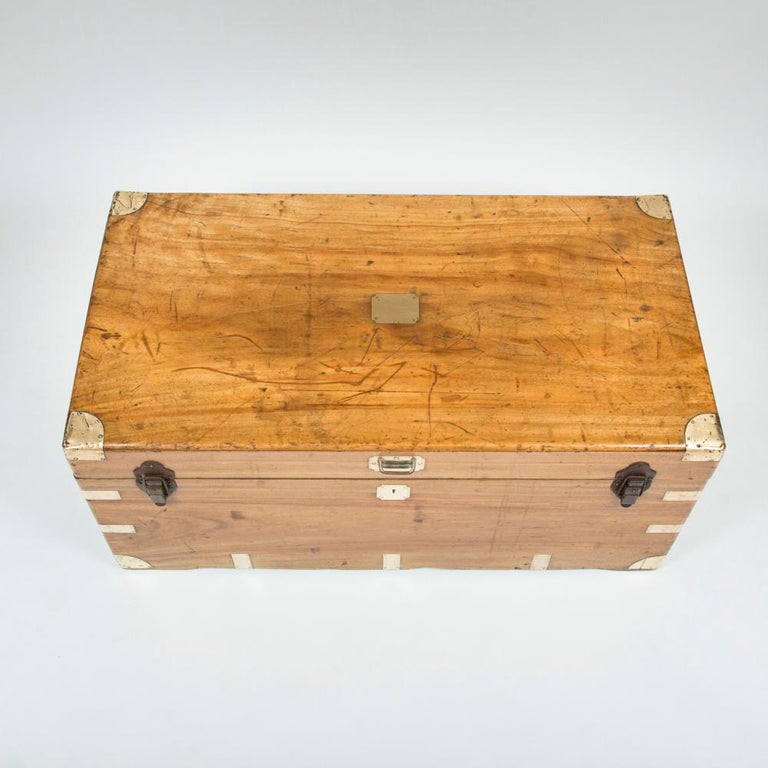 Large Hong Kong Camphor Wood Trunk For Sale at 1stdibs
