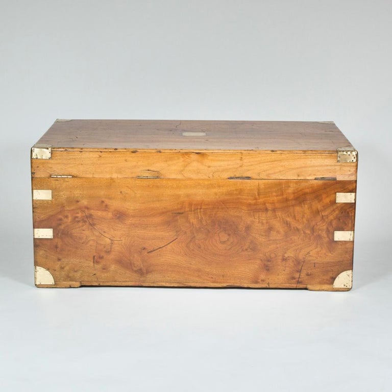 Large Hong Kong Camphor Wood Trunk For Sale at 1stdibs