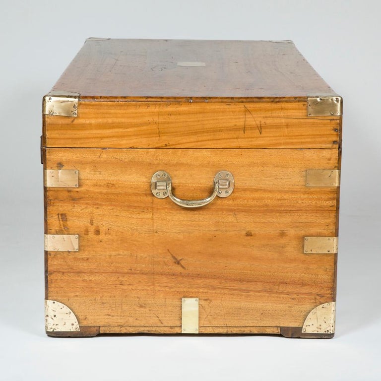 Large Hong Kong Camphor Wood Trunk For Sale at 1stdibs