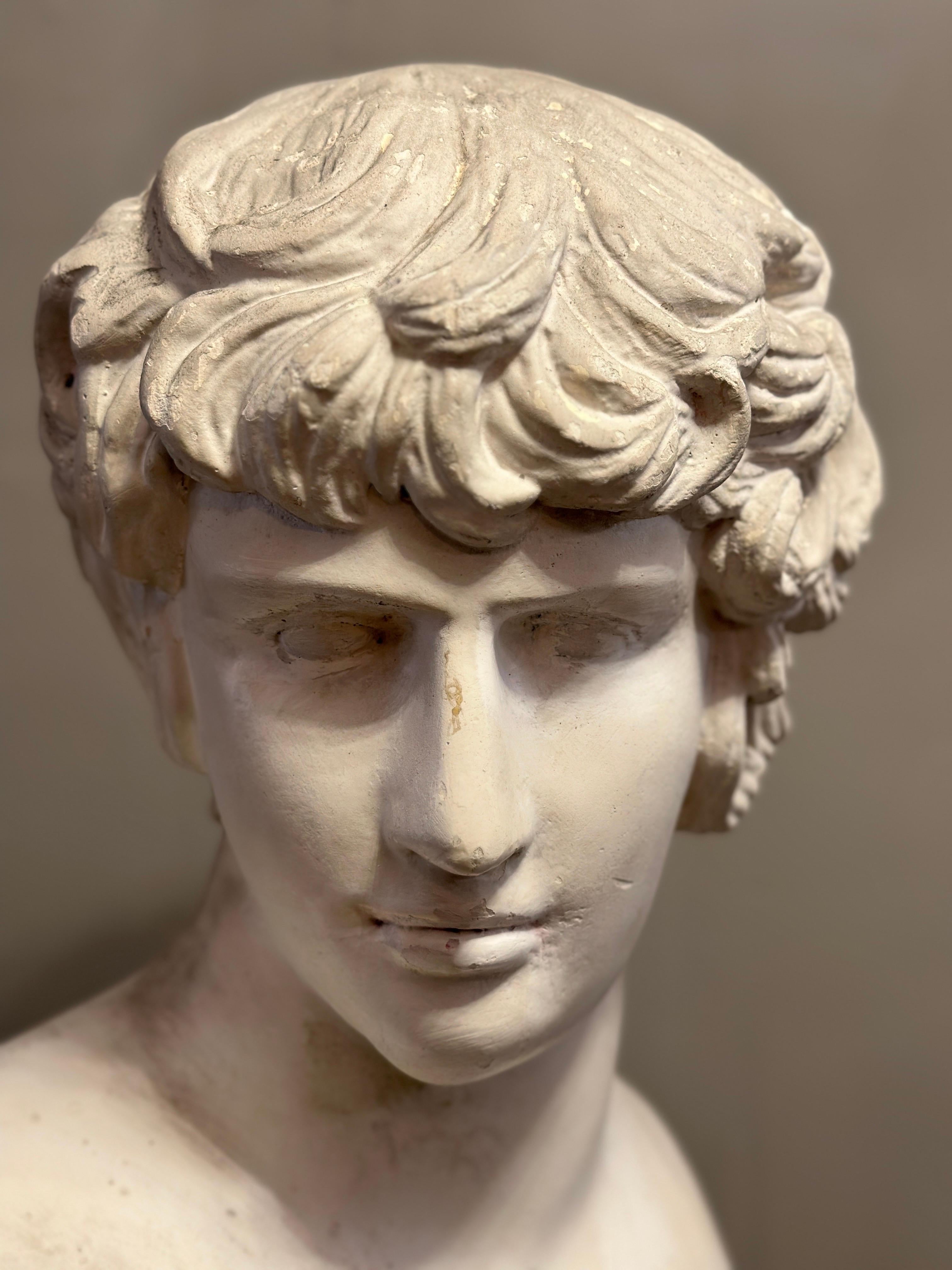 A large Italian Classical Plaster Bust of Alexander 5