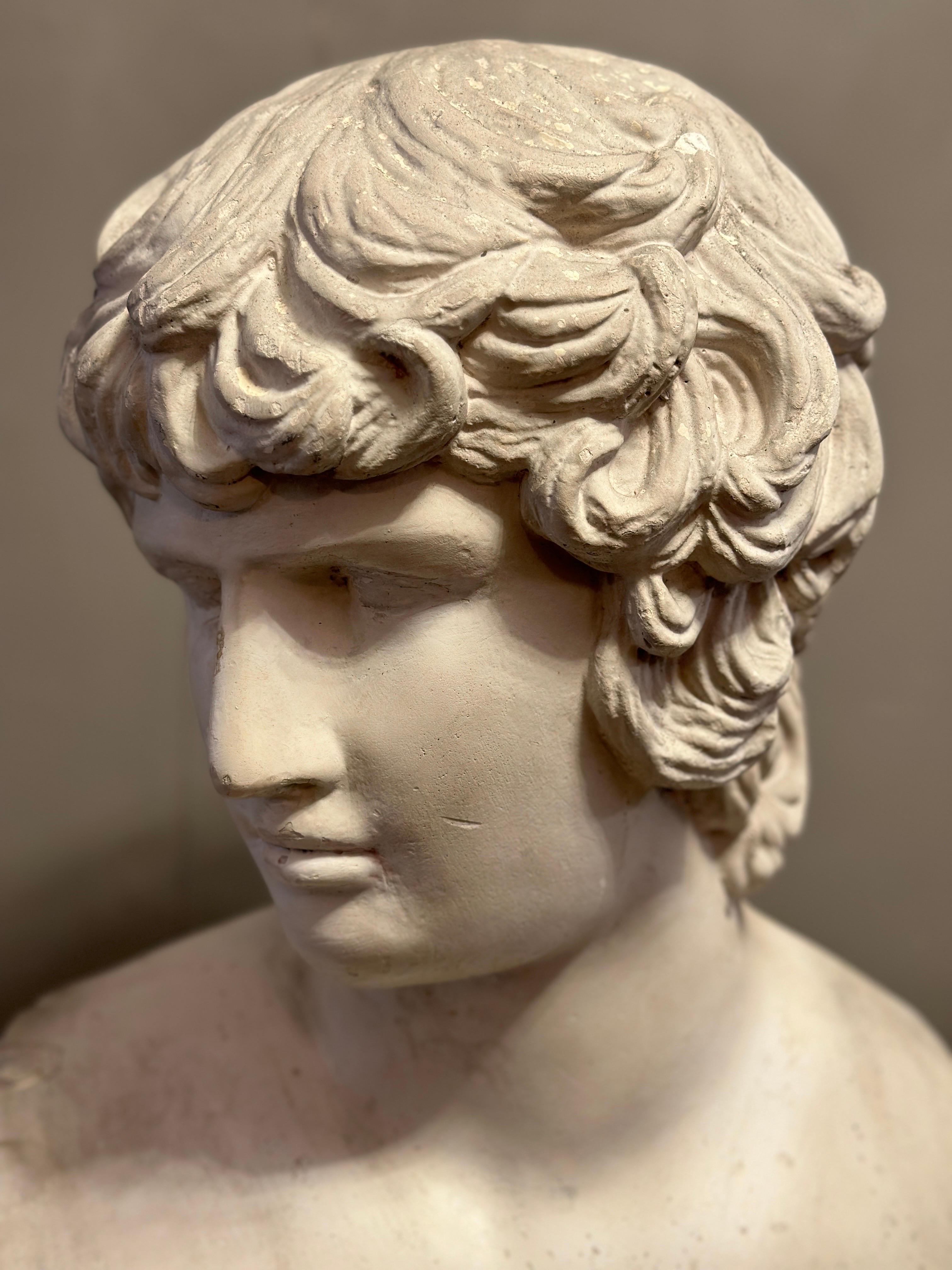20th Century A large Italian Classical Plaster Bust of Alexander