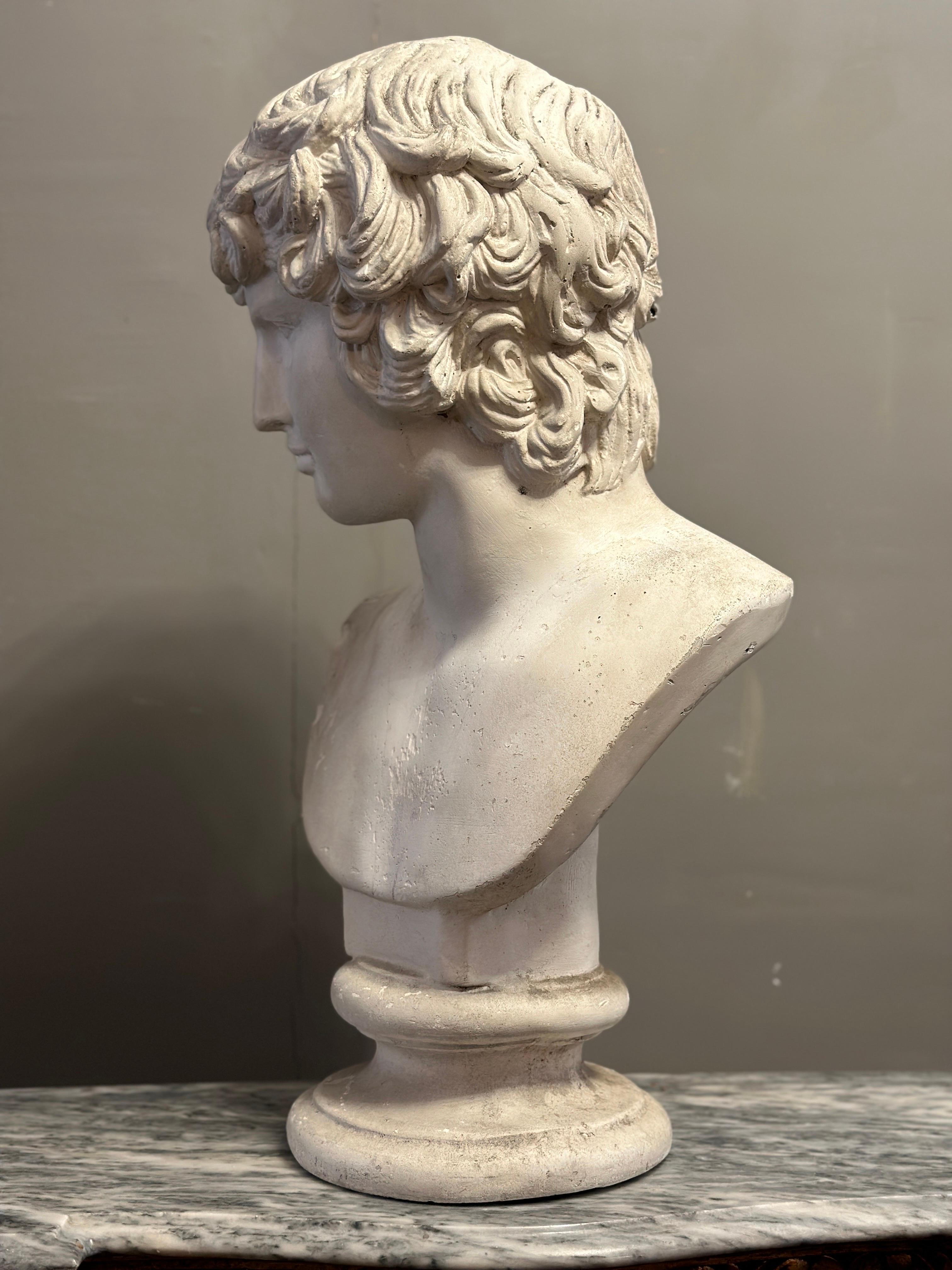 A large Italian Classical Plaster Bust of Alexander 2