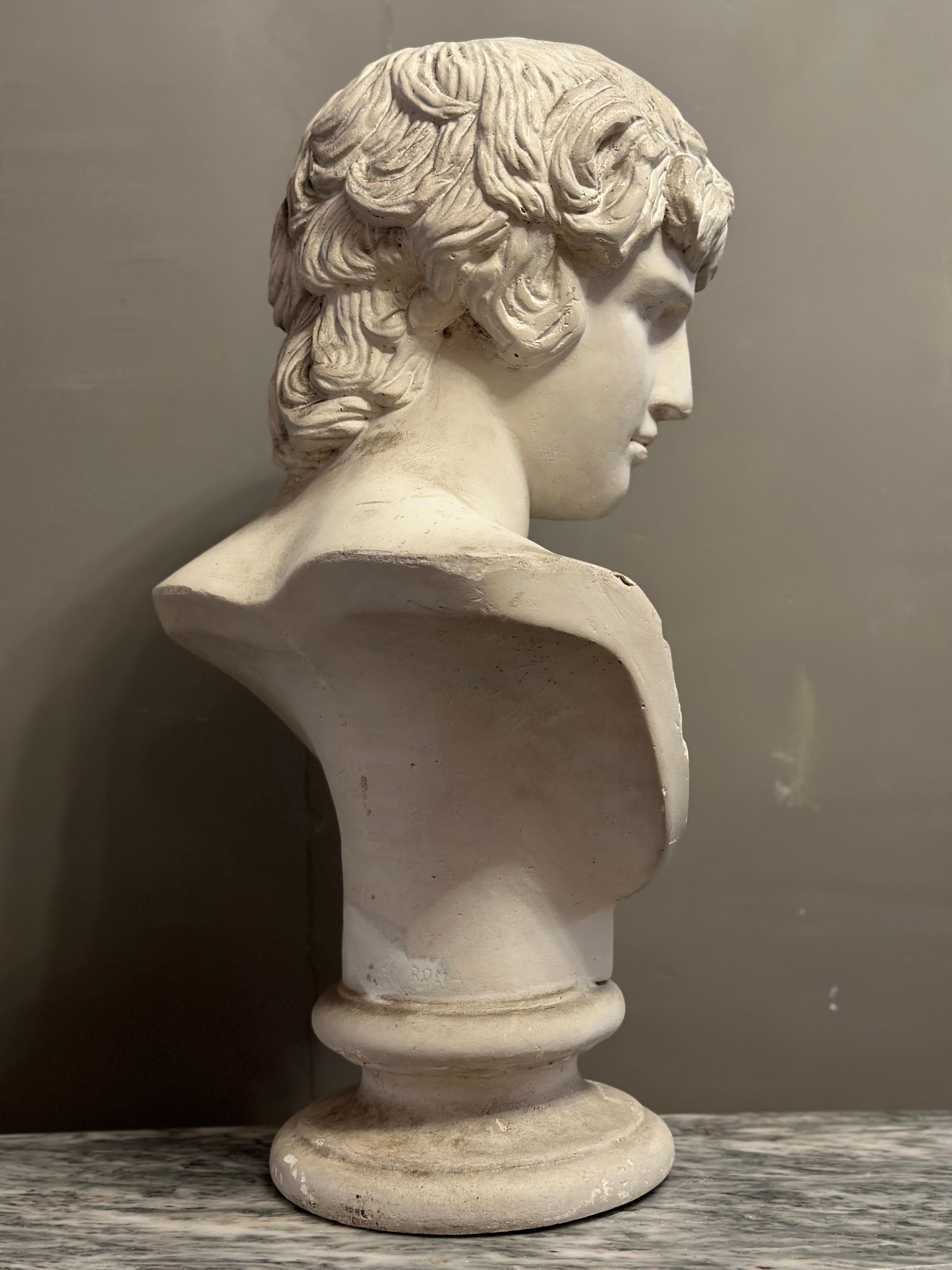 A large Italian Classical Plaster Bust of Alexander 4