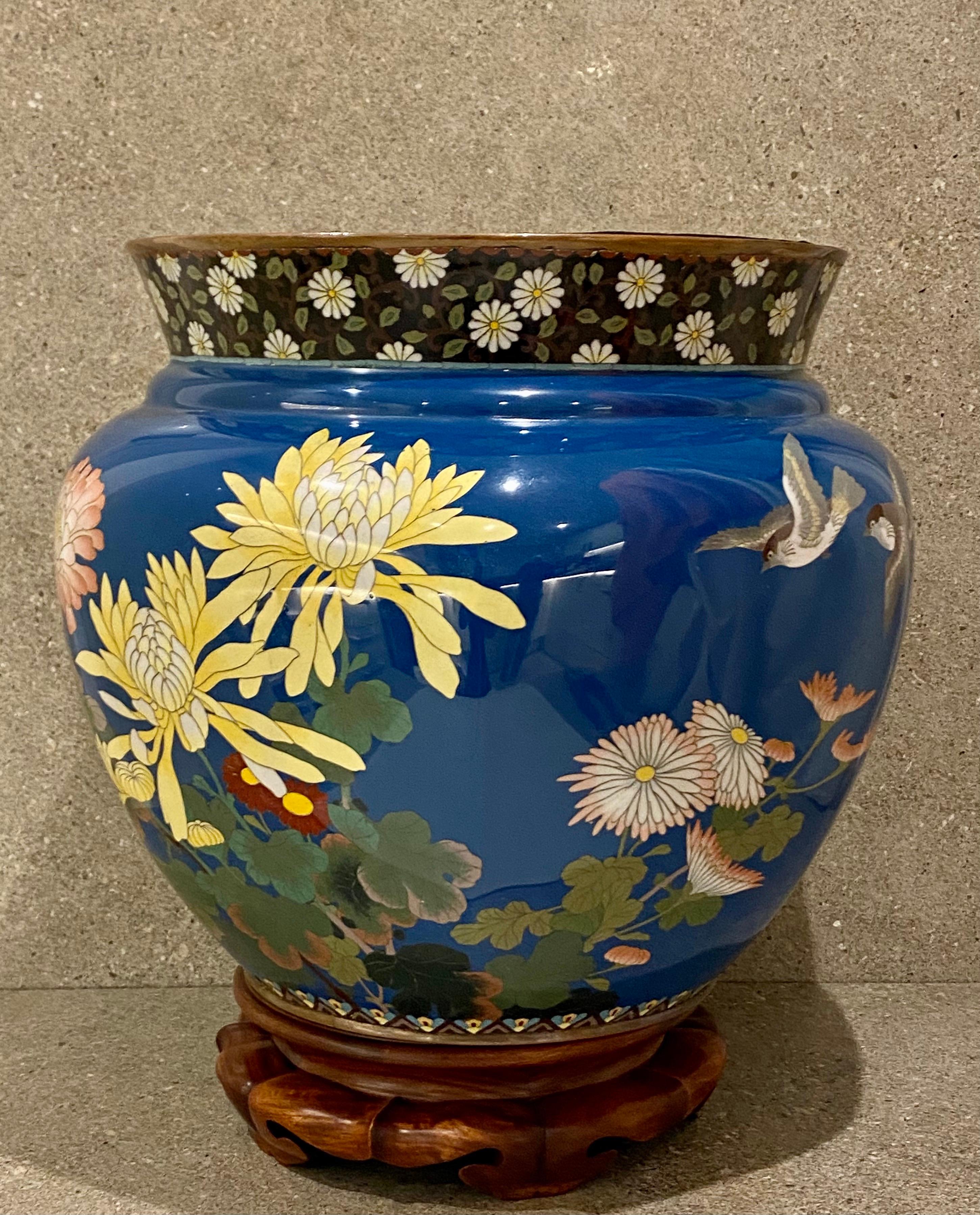 A Large Cloisonne Jardiniere, decorated with flowers and birds on a blue ground,
A very high quality colourful piece that looks amazing displayed.
This is has been well cherished since the late 19th century and is presented 
in immaculate