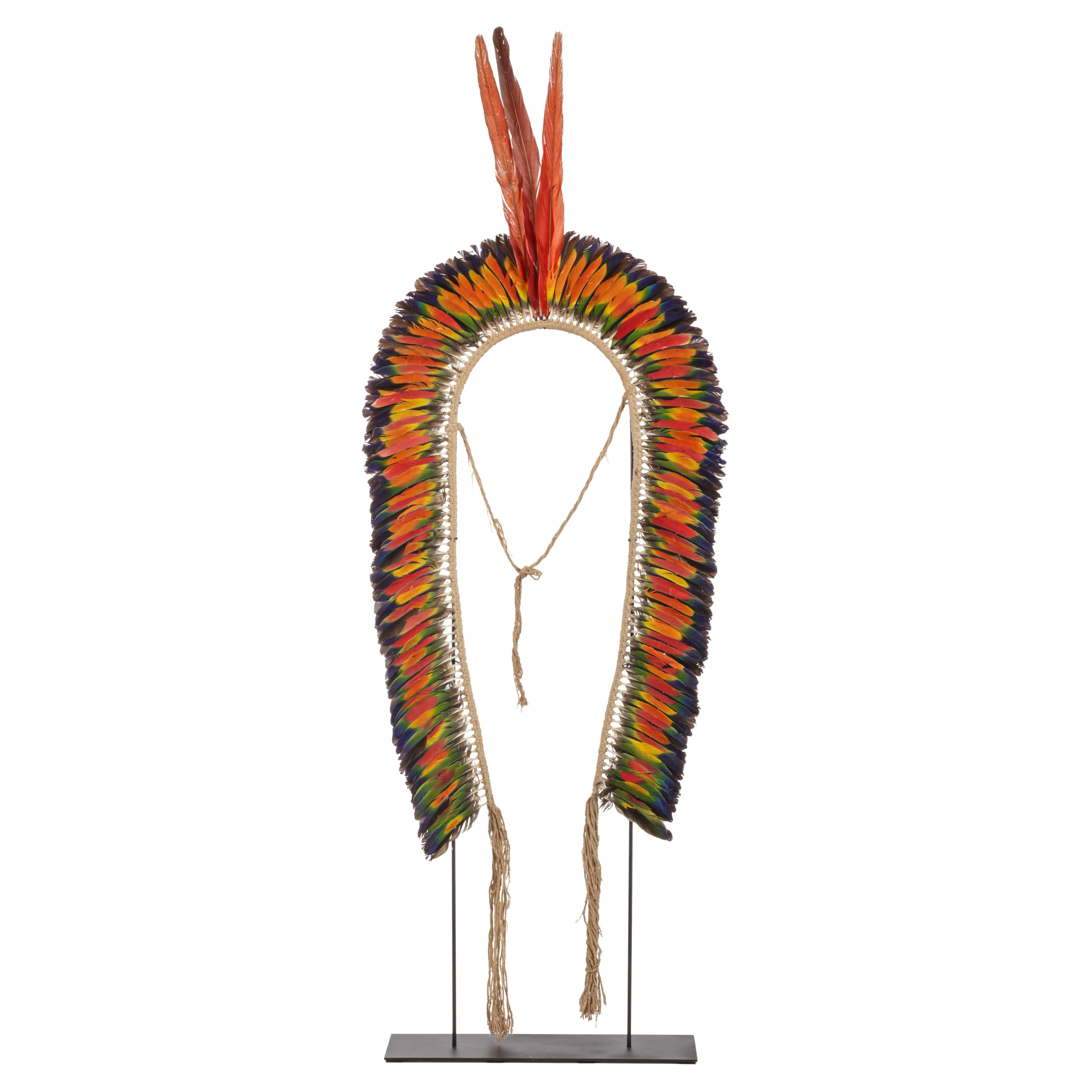 A large Kayapo Amazon Indigenous child’s feather headdress For Sale