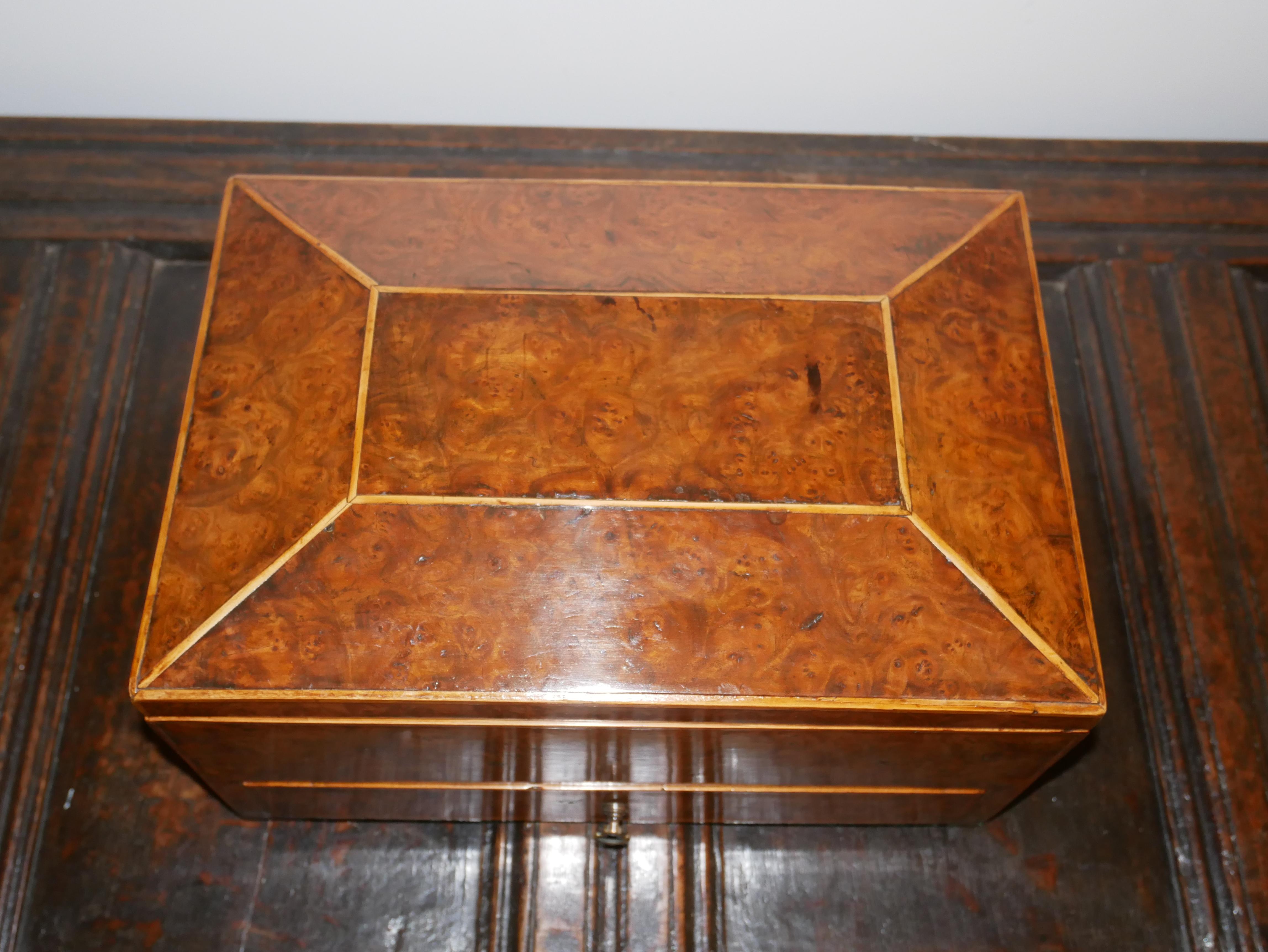 Veneer Large Late Regency Burr Elm and Boxwood Strung Work Box For Sale