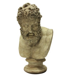 Large Library Bust of Hercules