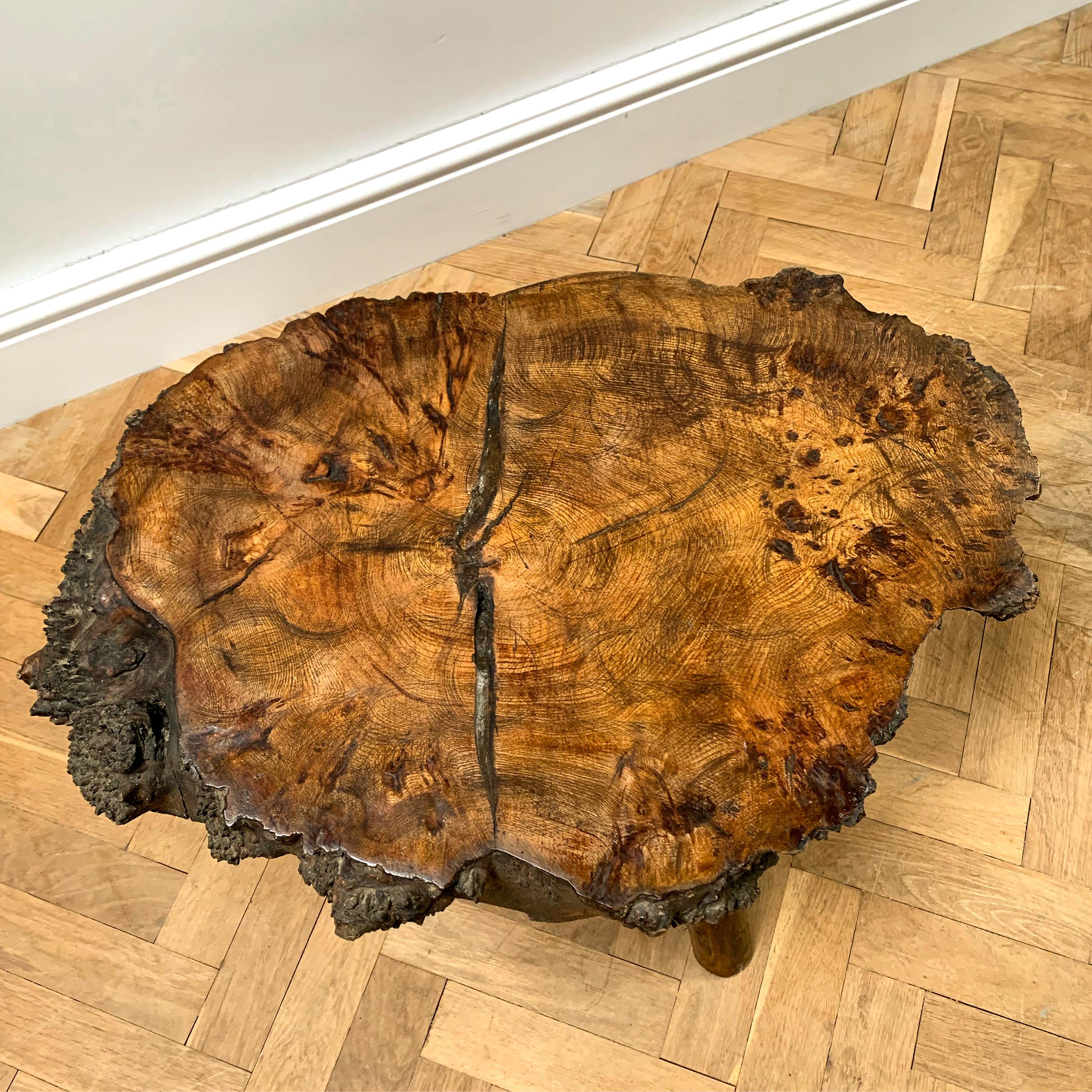 A substantial central section of French elm, roughly cut with live burr edge and polished surface, standing on three branch legs.

H 43 x W 77 x D 50 cms