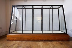 Large Mahogany and Ebonised Museum Display Cabinet from the Ashmoleum