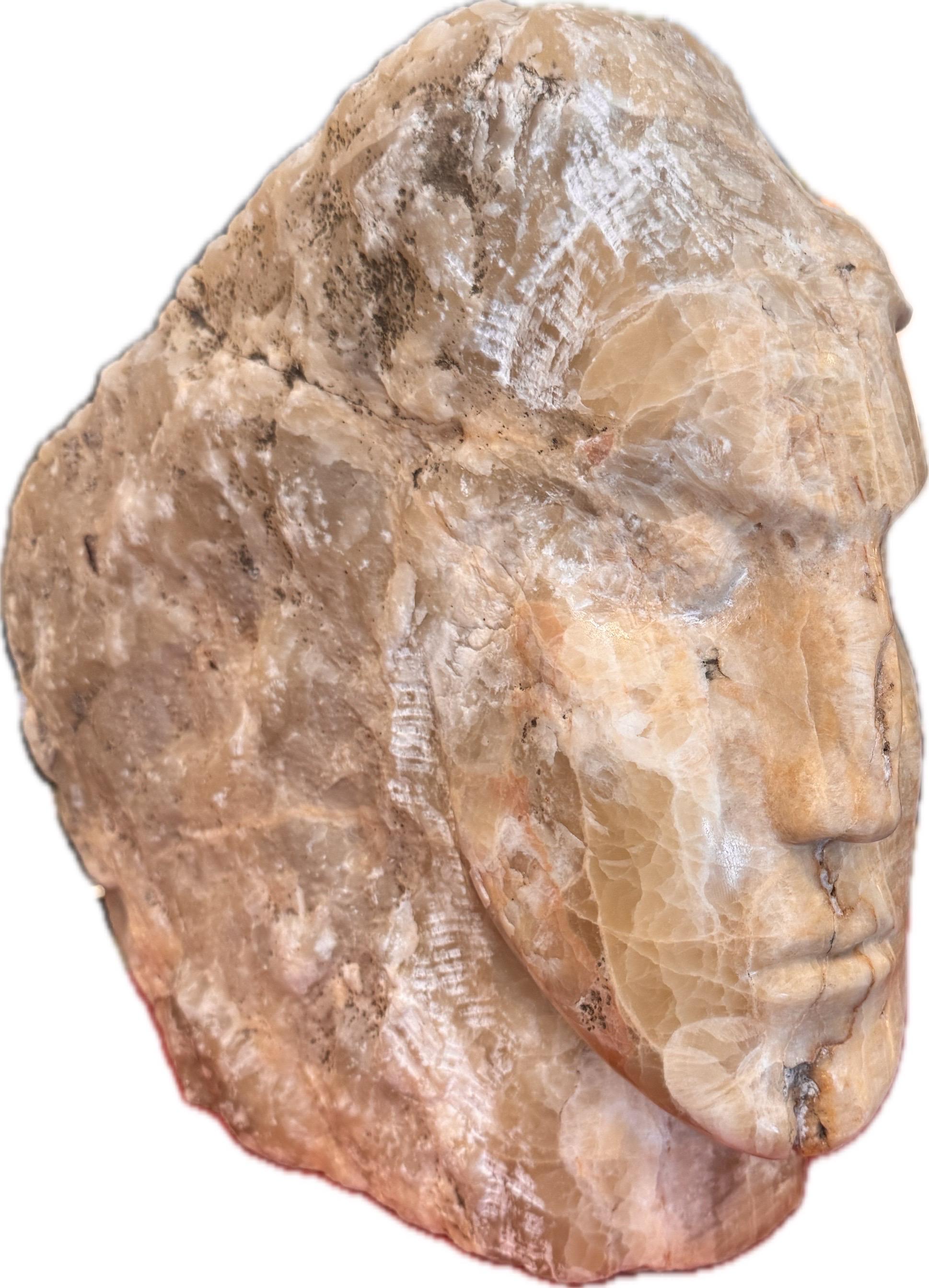 Marble A large marble head sculpture in the style of Emily Young For Sale